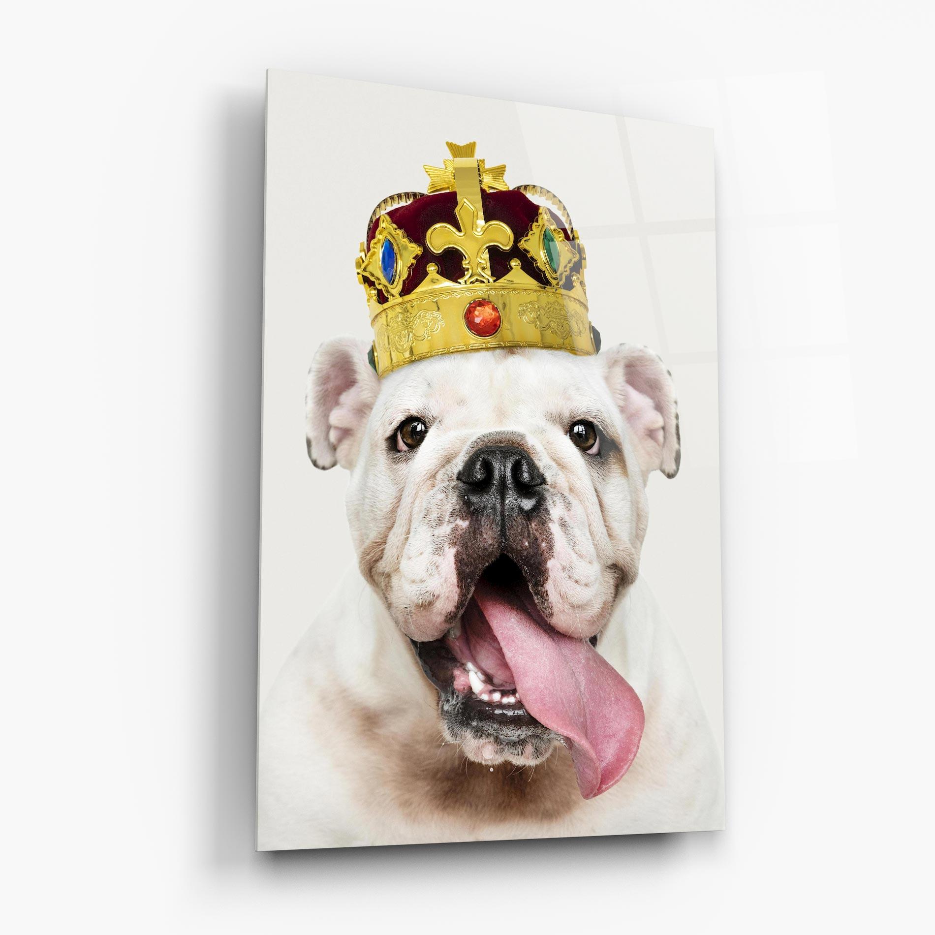 Tablou Sticla Bulldog Wearing Crown mockup 6