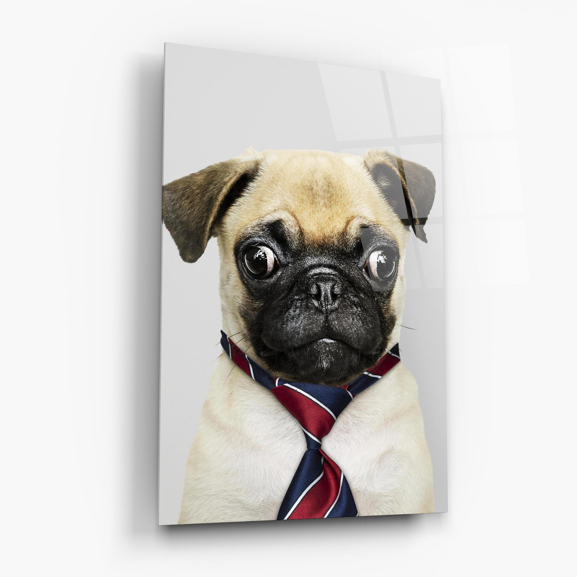 Tablou Sticla Business Pug mockup 6