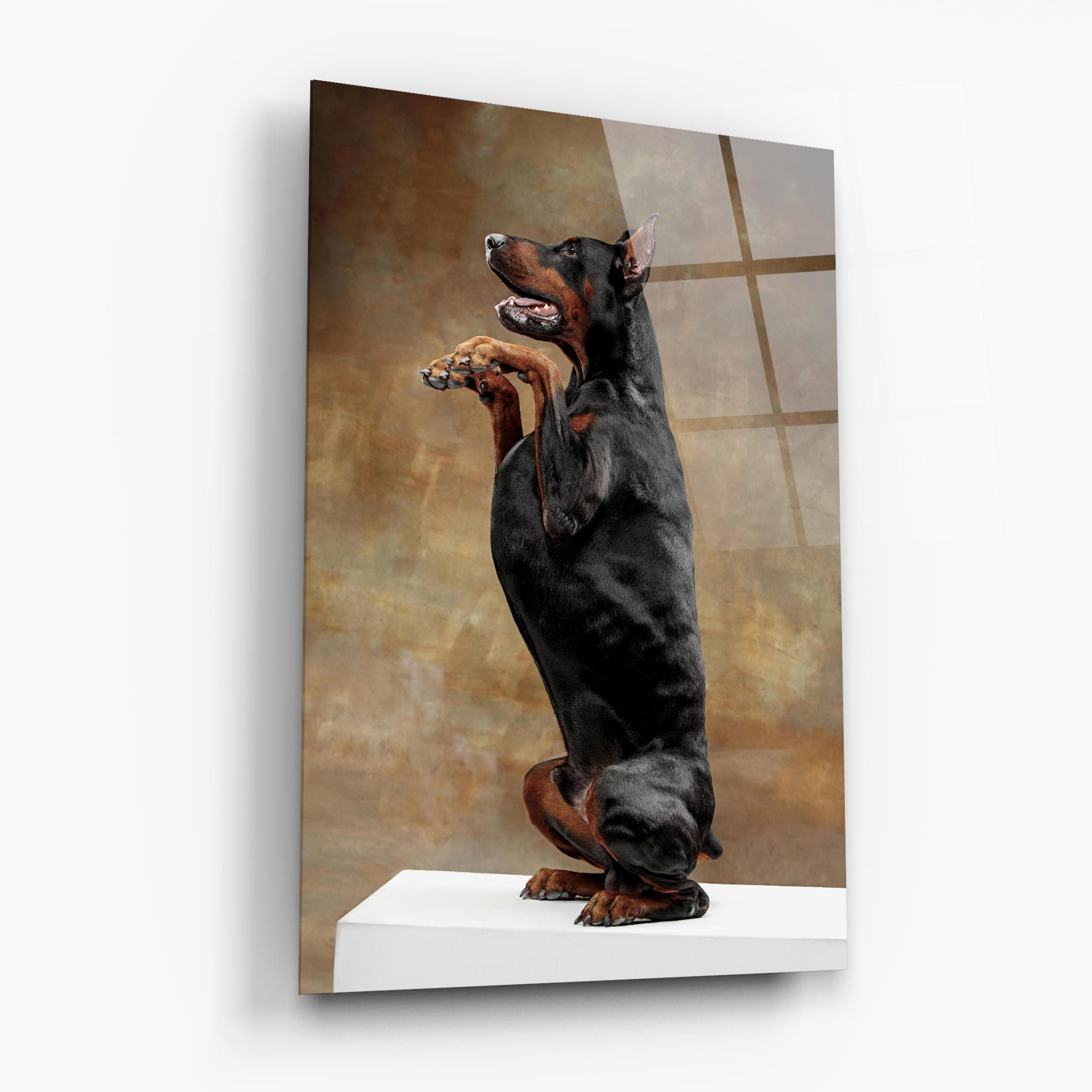 Doberman Standing mockup 6