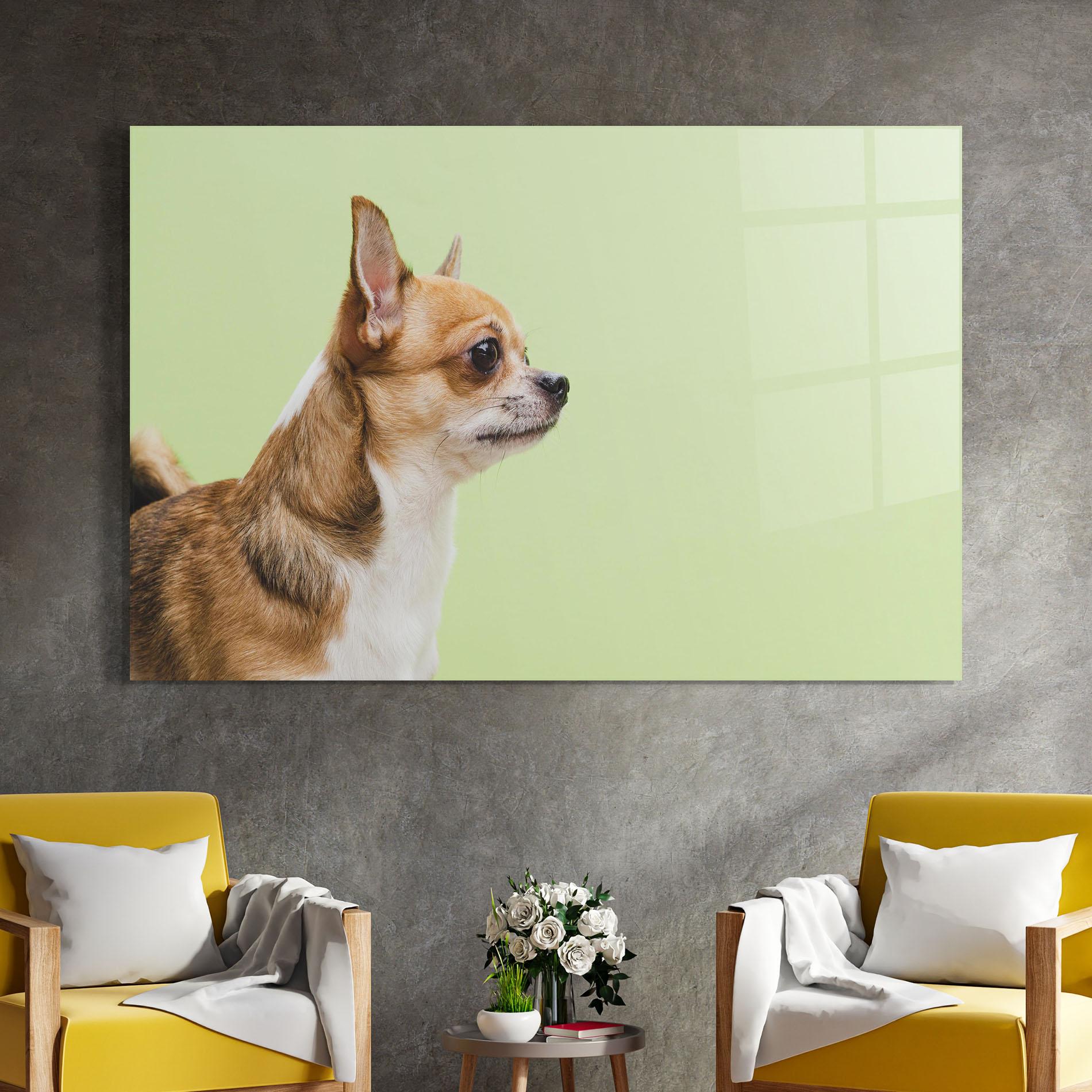 Tablou Sticla Chihuahua Dog mockup 4