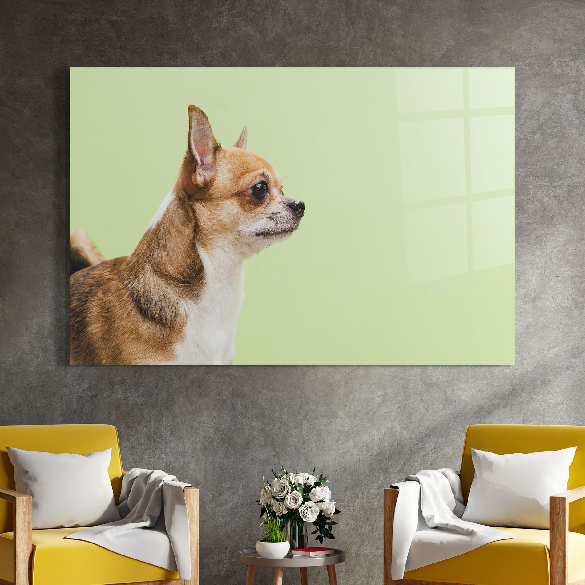 Chihuahua Dog mockup 4