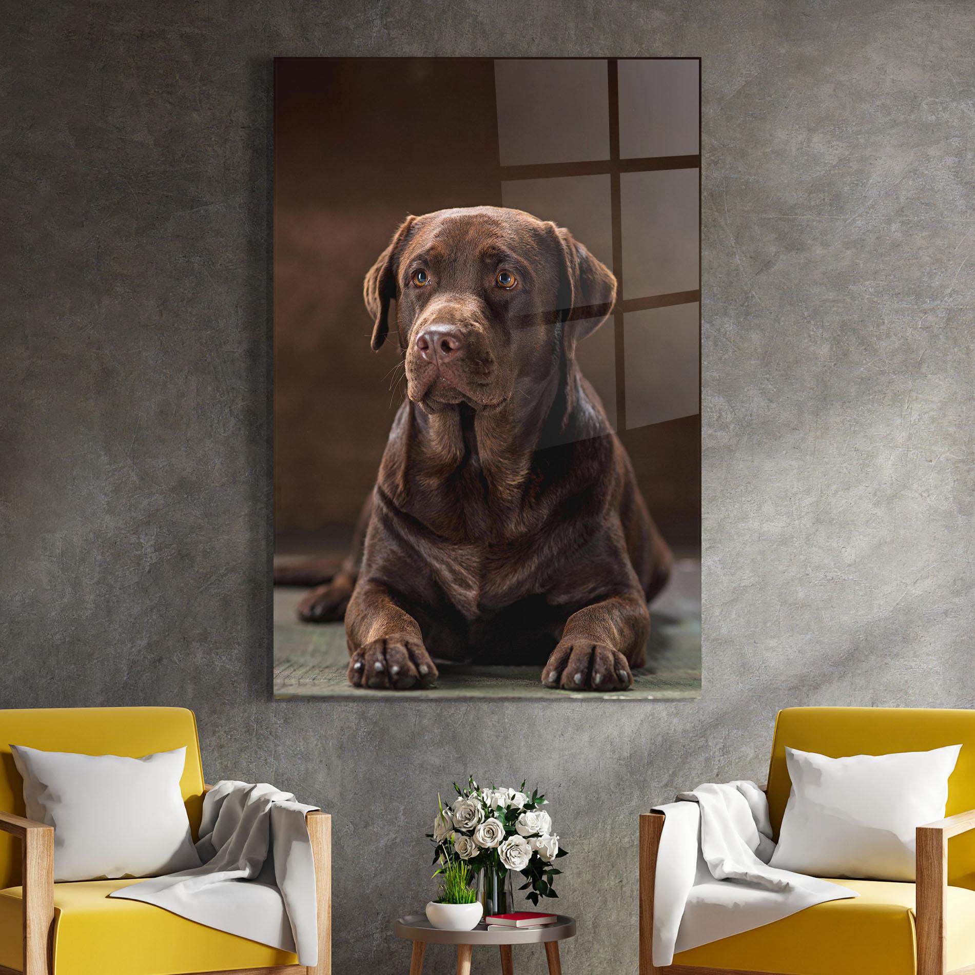 Tablou Sticla Brown Labrador Dog mockup 4