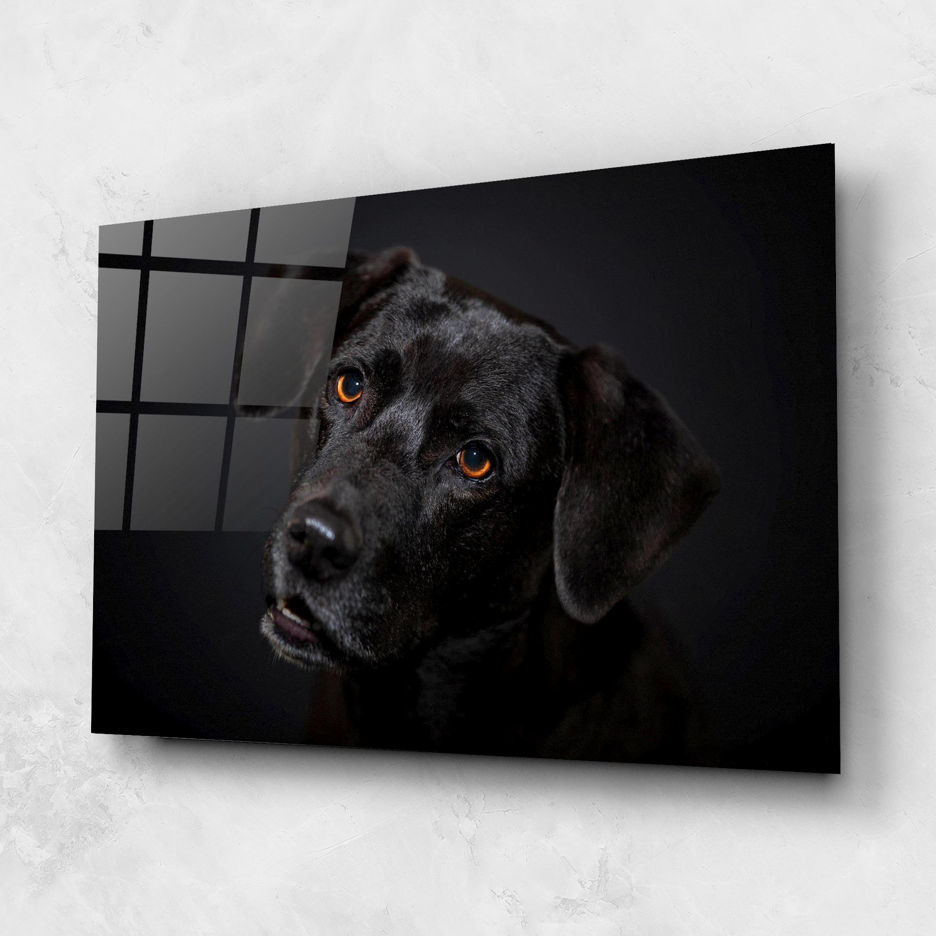 Tablou Sticla Black Dog Portrait mockup 1