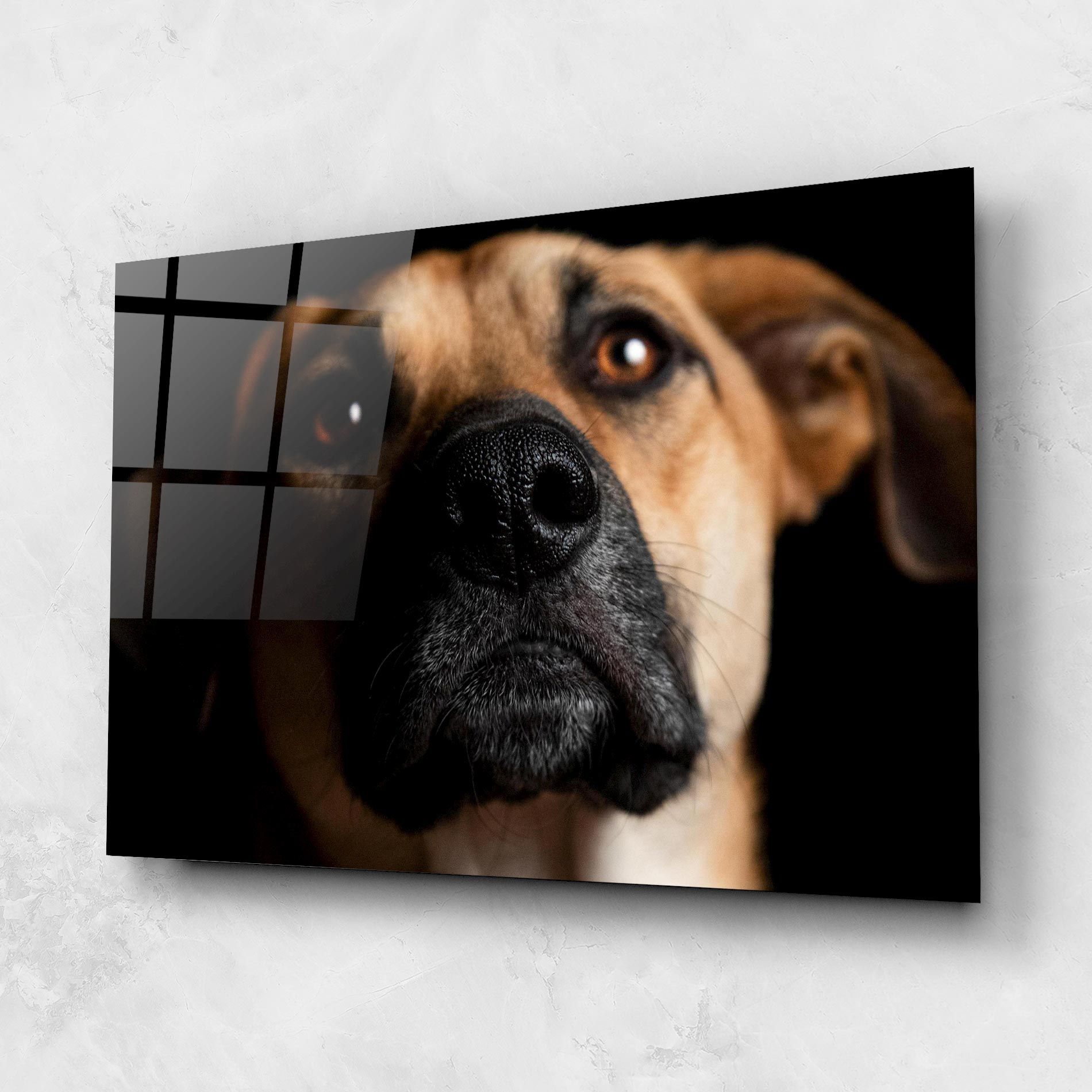Black Nose Dog mockup 1