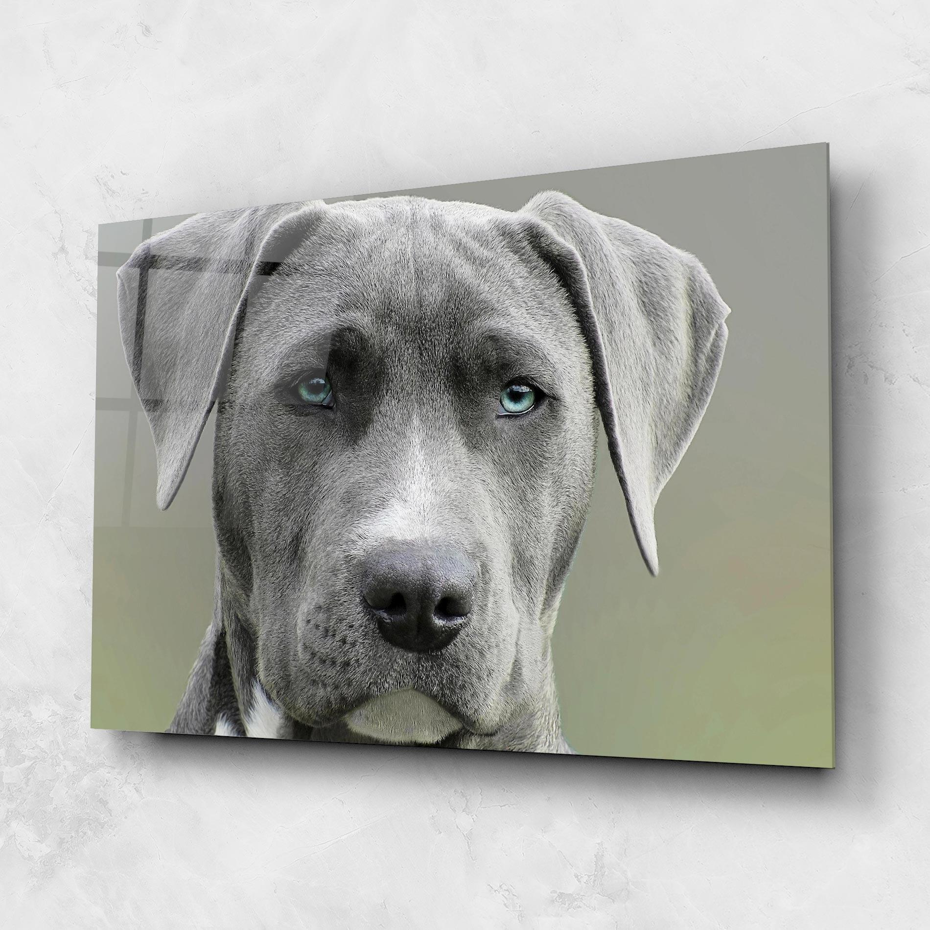 Tablou Sticla Blue Eyes Dog mockup 1