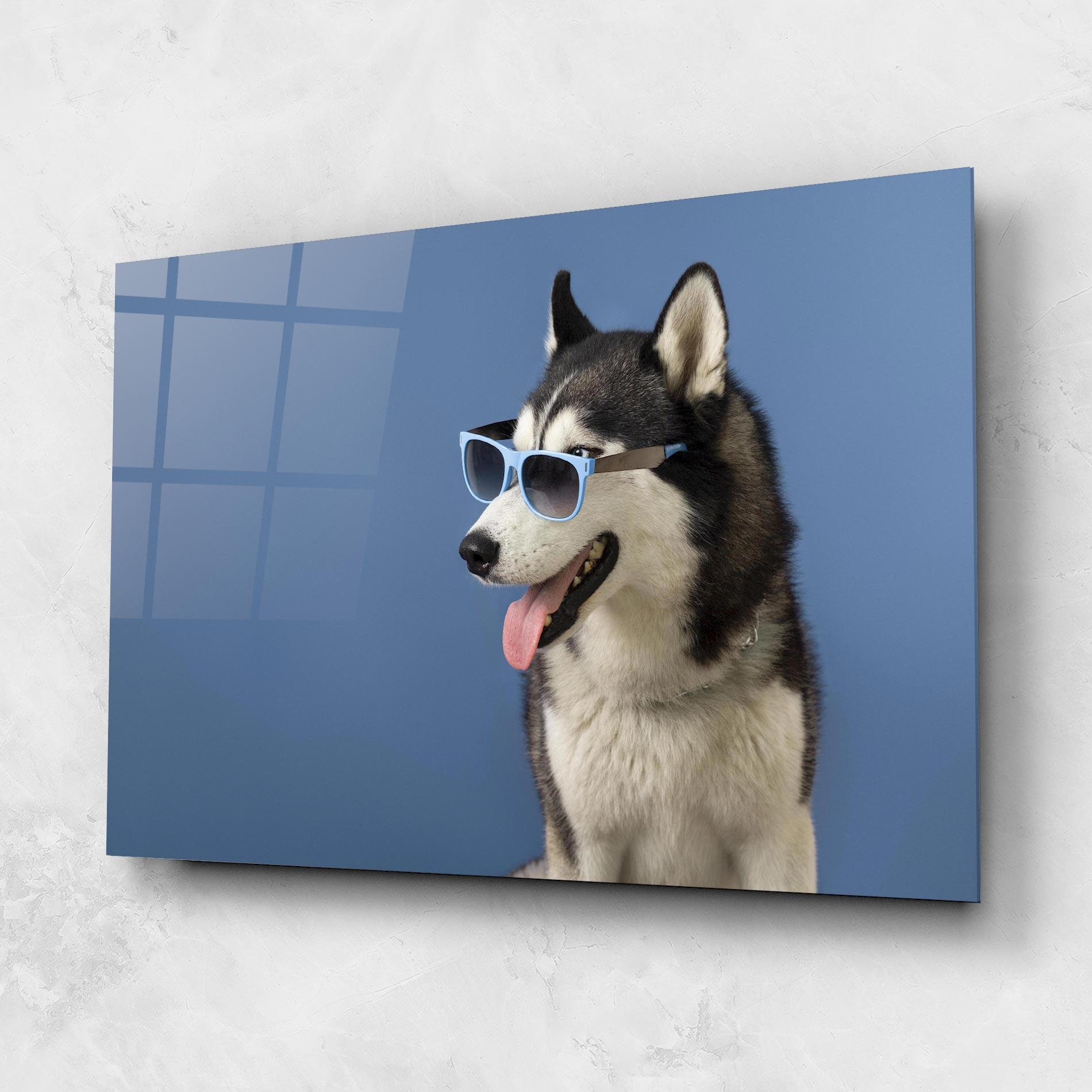 Tablou Sticla Blue Glasses Dog mockup 1