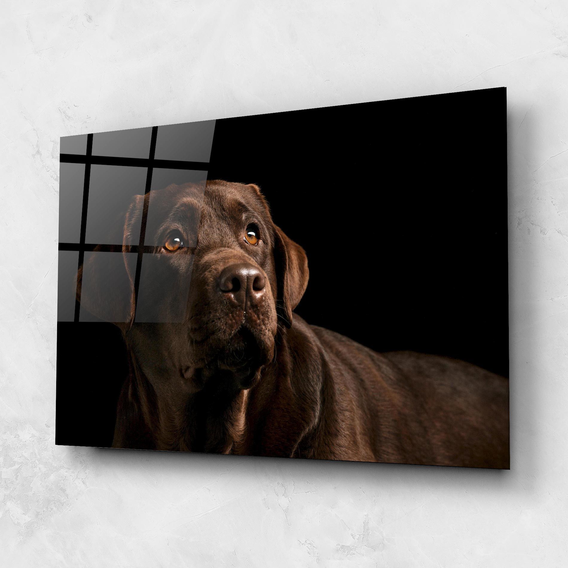 Brown Labrador mockup 1