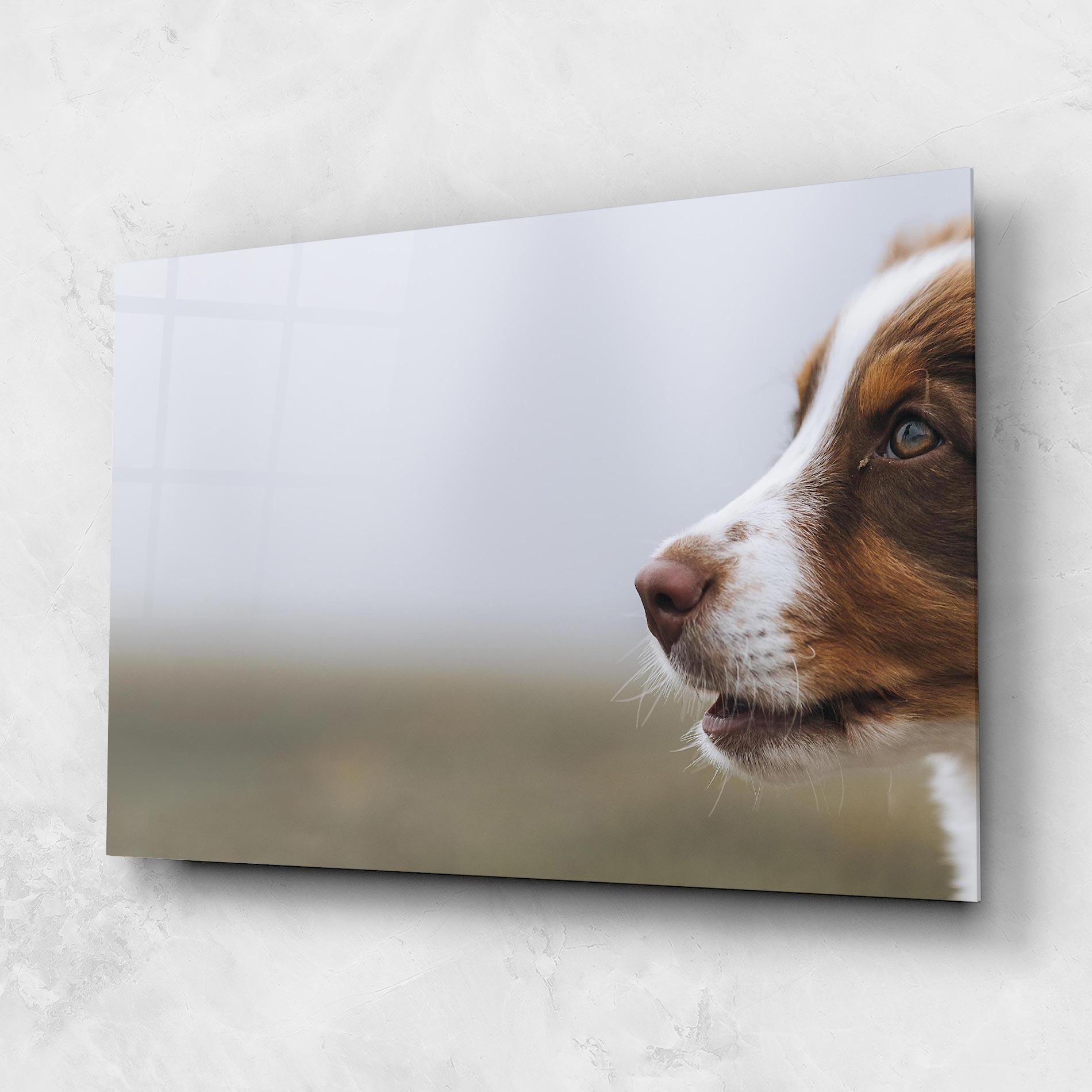 Tablou Sticla Brown White Dog mockup 1