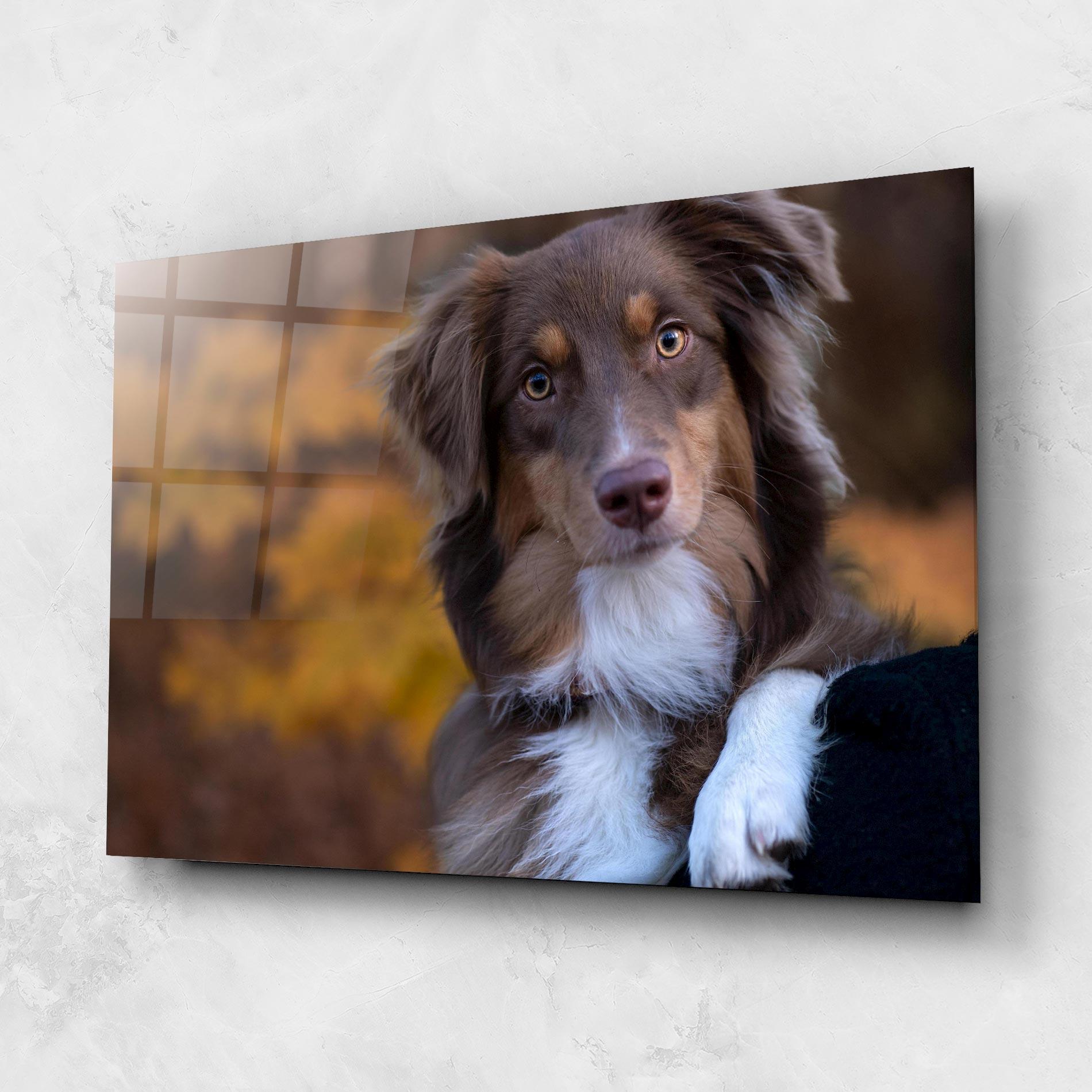 Tablou Sticla Coffee Brown Dog mockup 1