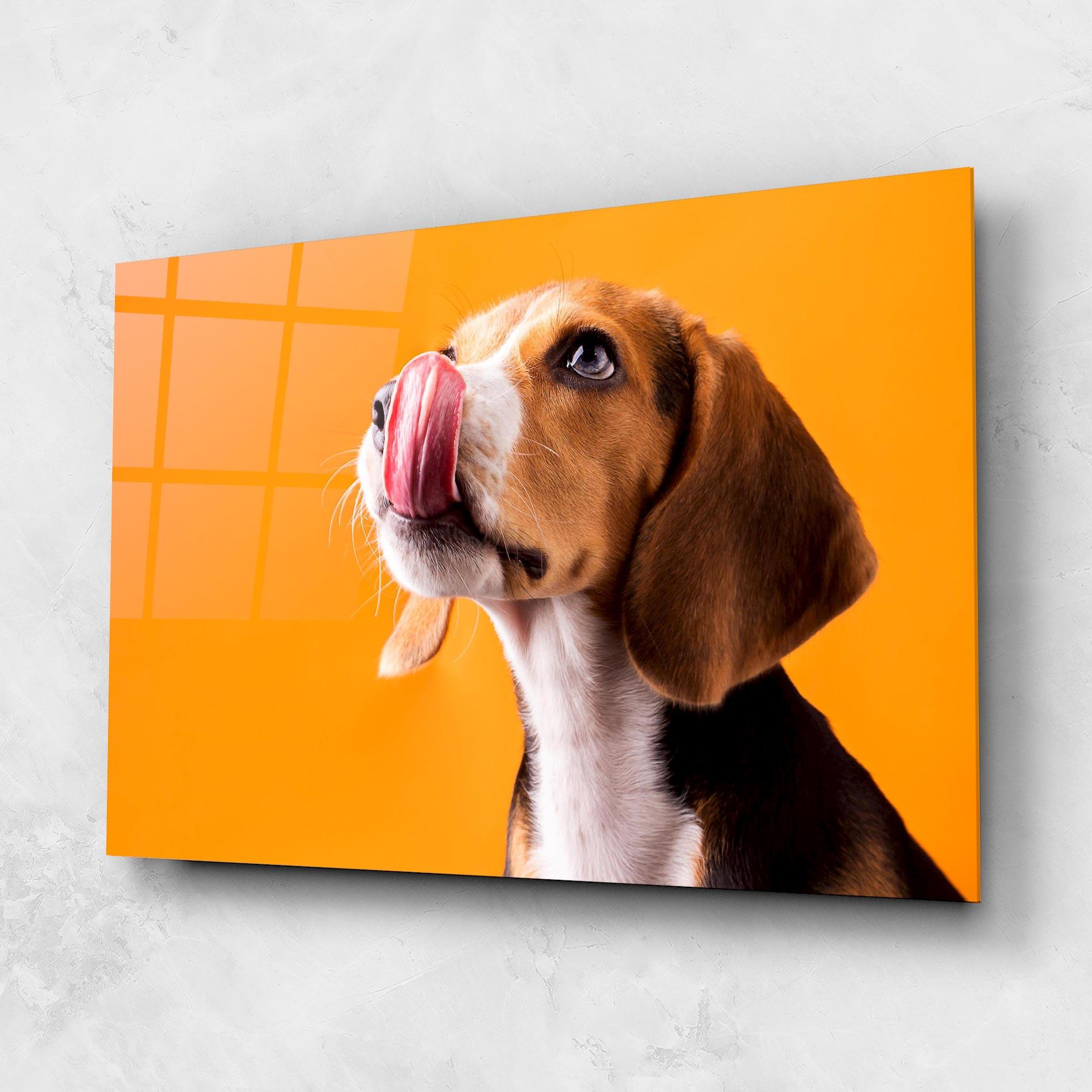 Tablou Sticla Cute Beagle Puppy mockup 1