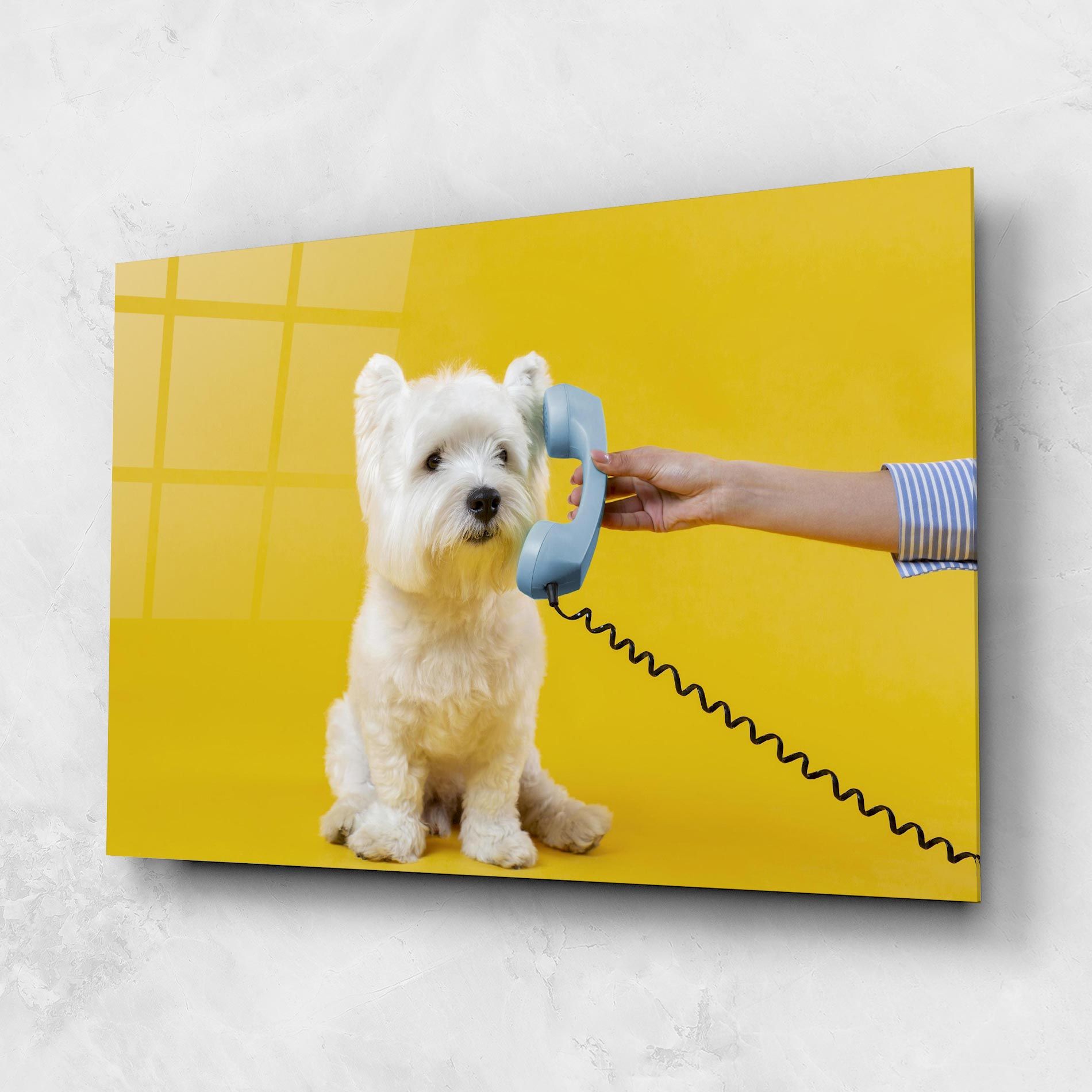 Cute Little Dog mockup 1