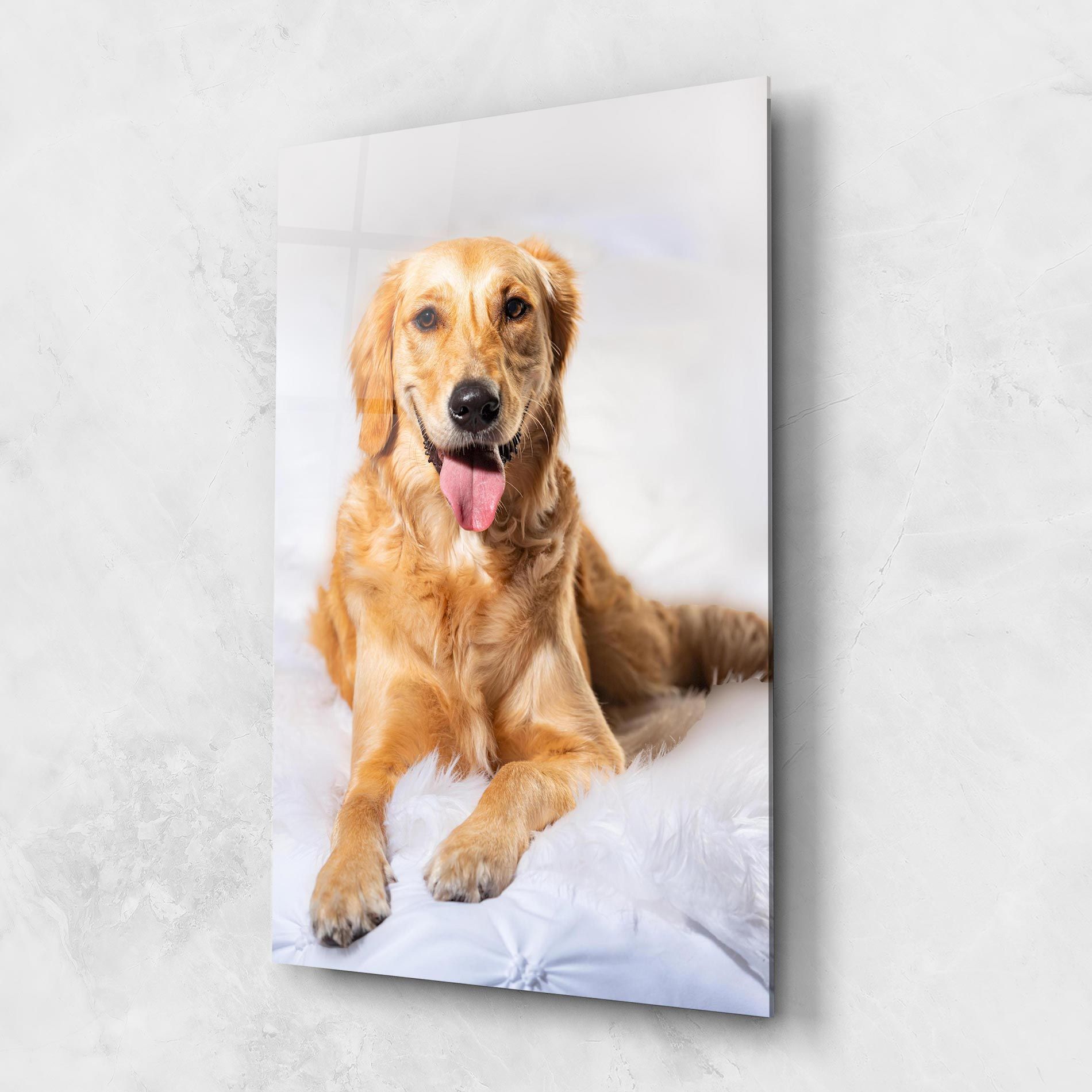Beautiful Gold Dog mockup 1