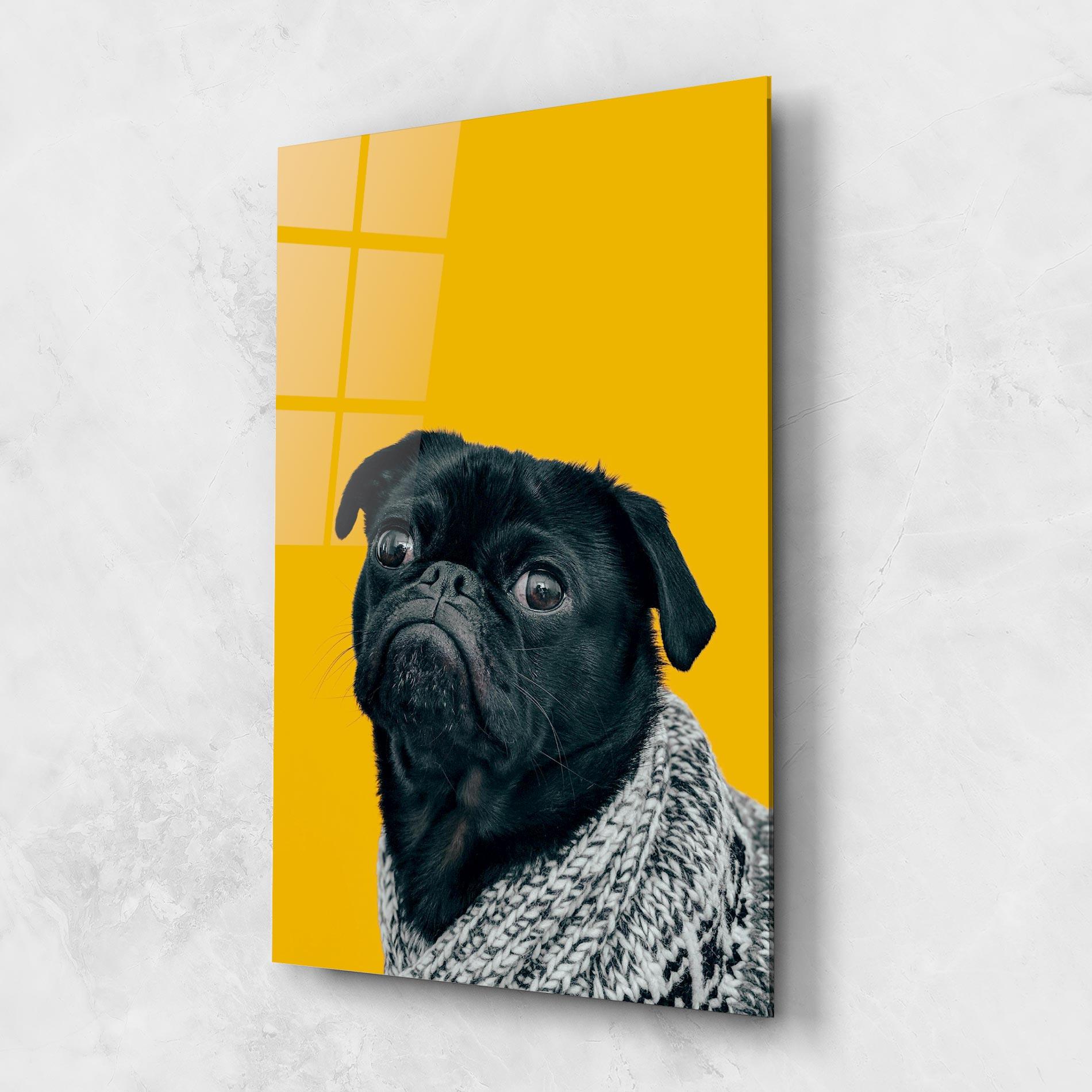 Tablou Sticla Black Pug mockup 1