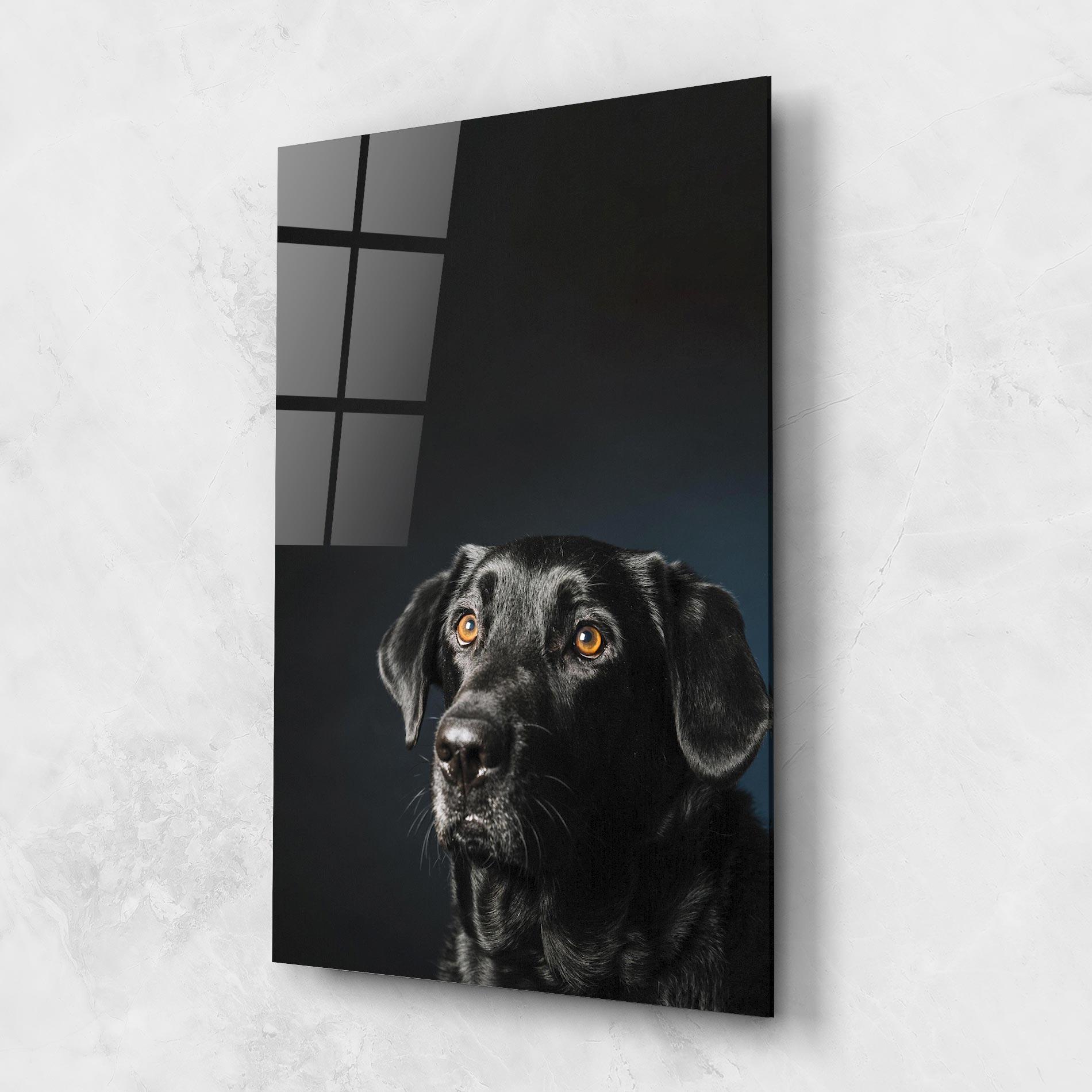 Tablou Sticla Brown Eyes Dog mockup 1