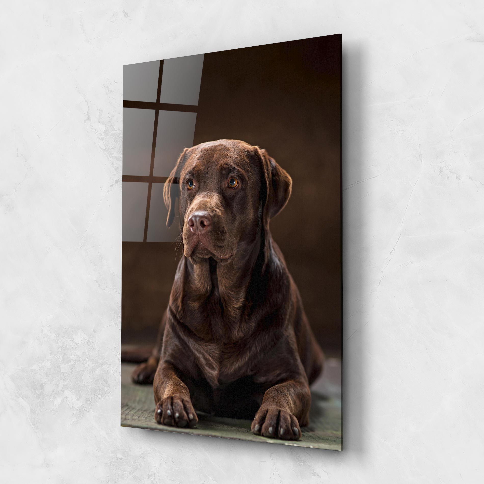 Brown Labrador Dog mockup 1