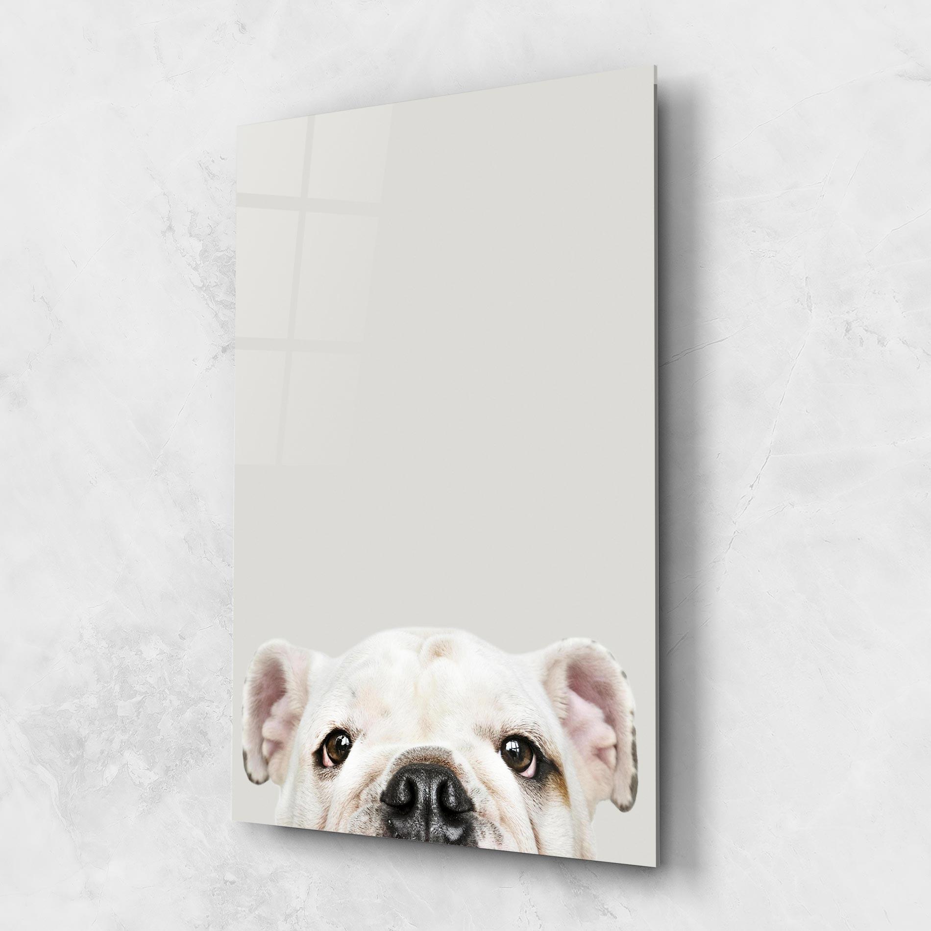 Tablou Sticla Bulldog Eyes mockup 1
