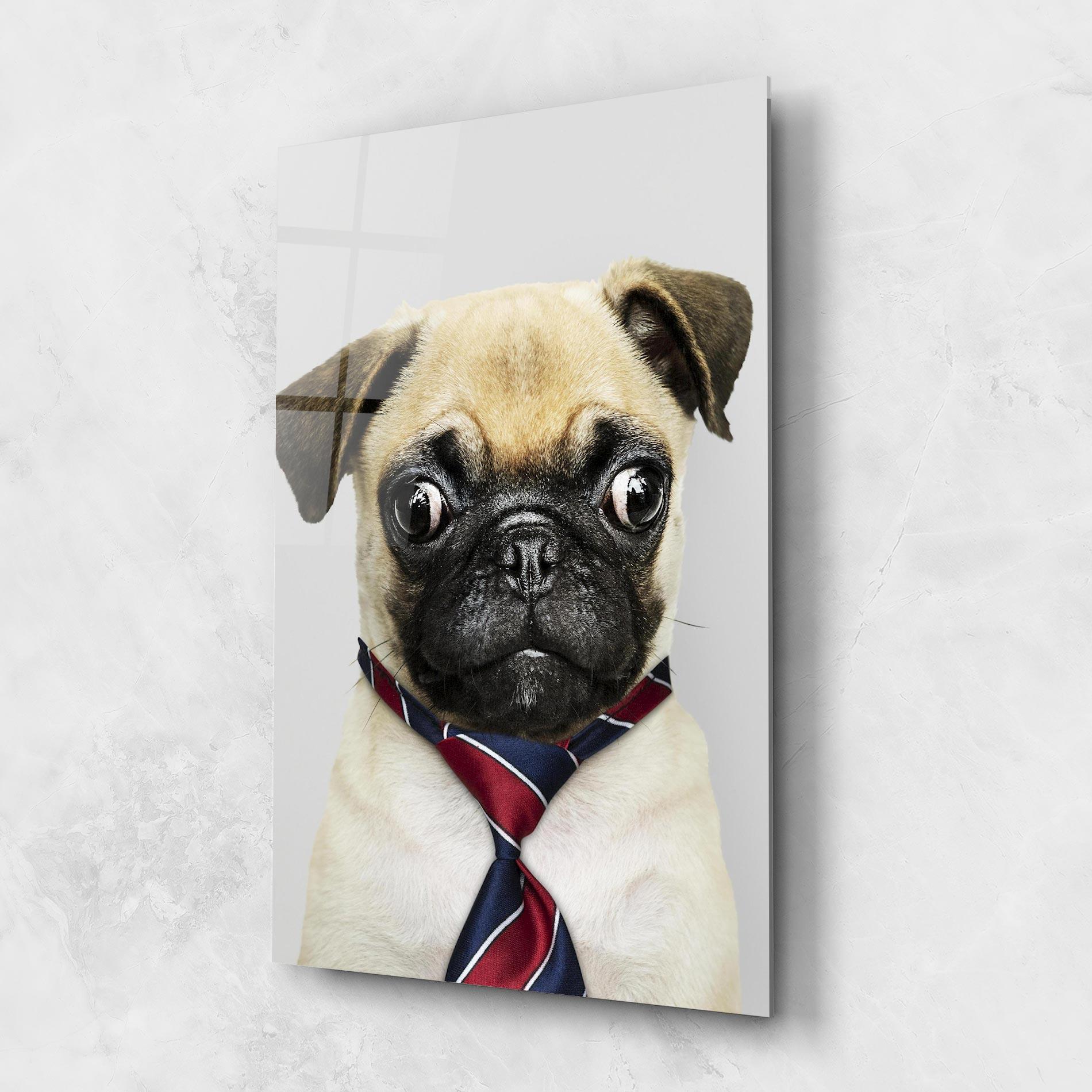 Tablou Sticla Business Pug mockup 1