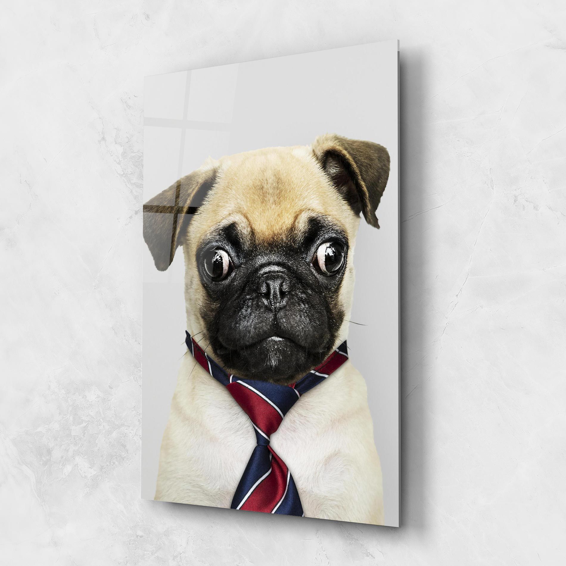 Business Pug mockup 1