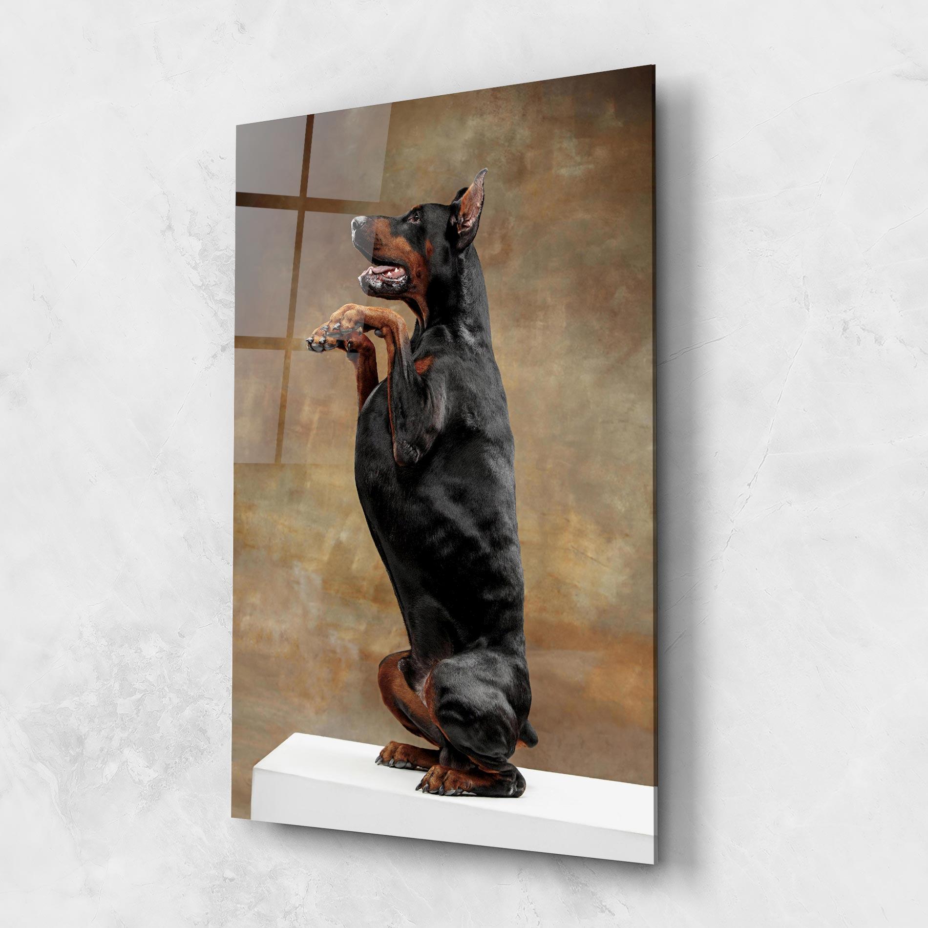 Tablou Sticla Doberman Standing mockup 1