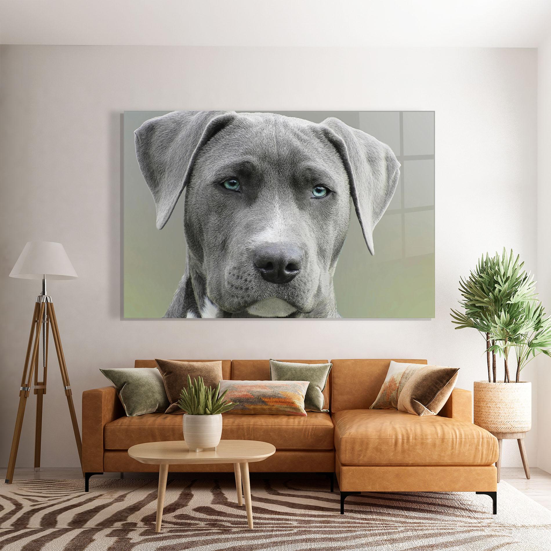 Tablou Sticla Blue Eyes Dog mockup 7