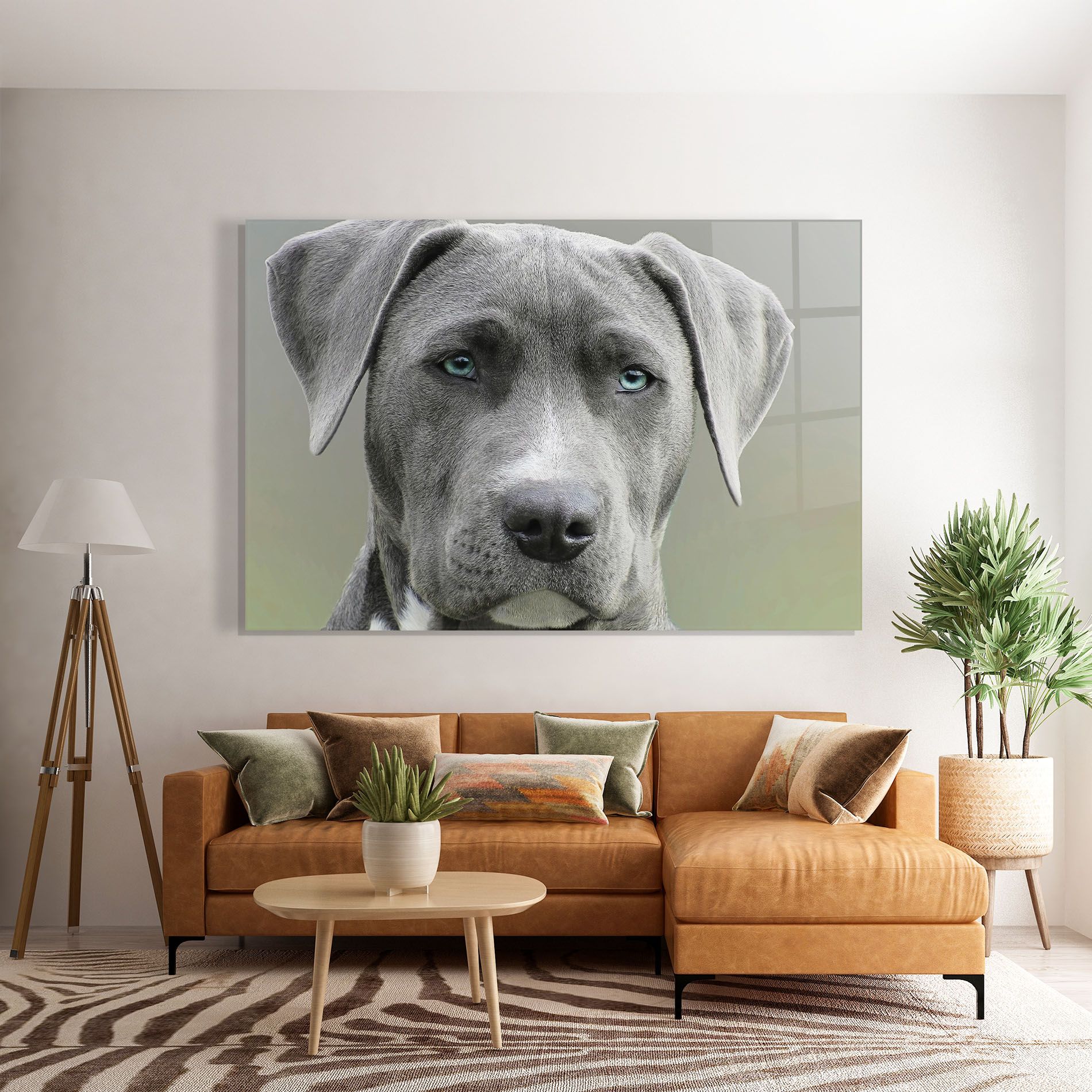 Blue Eyes Dog mockup 7