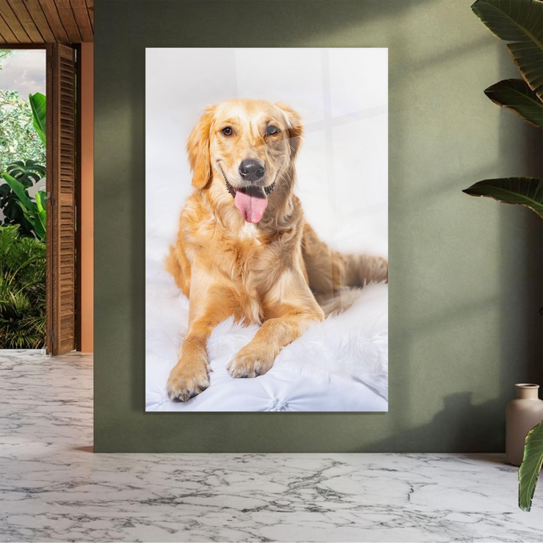 Tablou Sticla Beautiful Gold Dog mockup 7