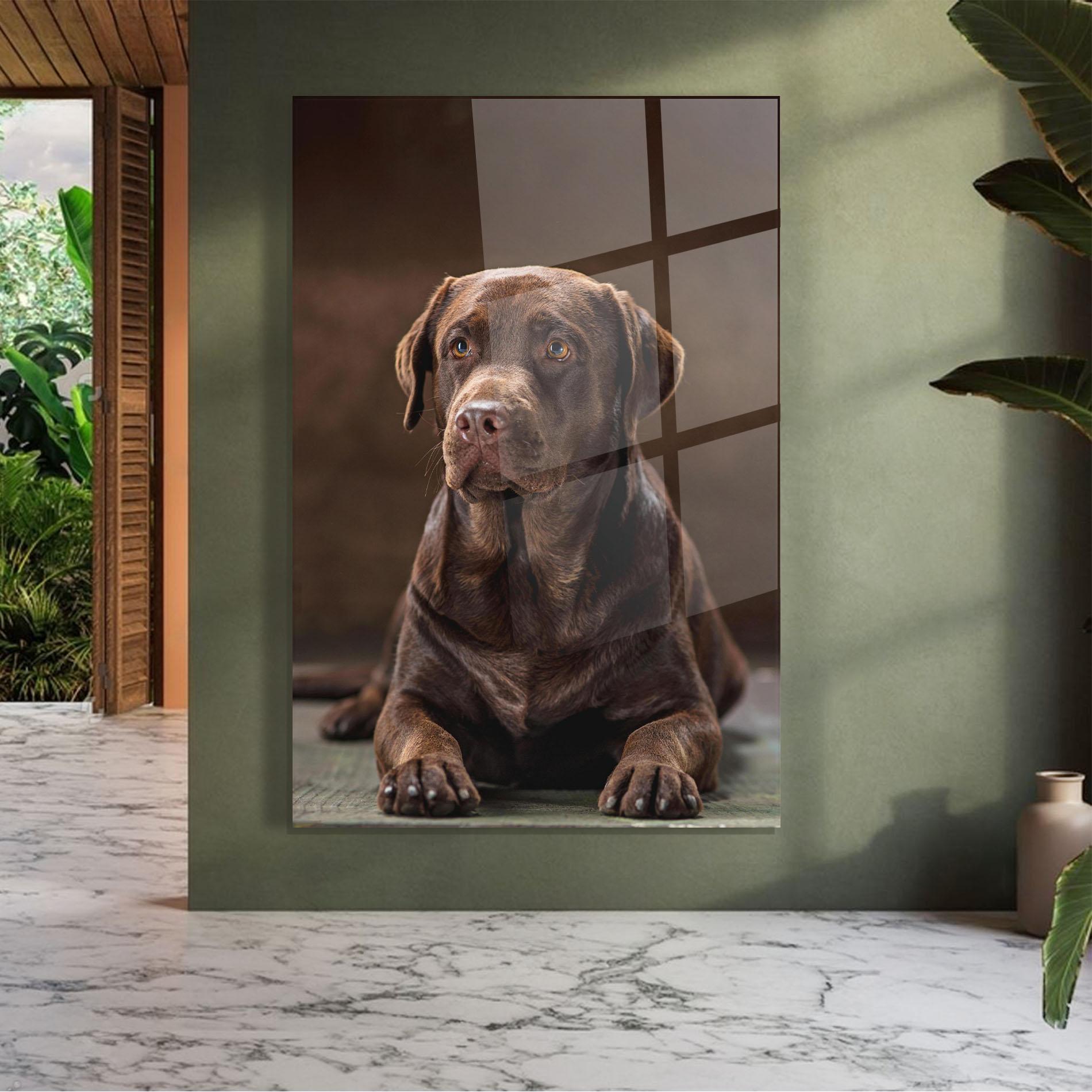 Tablou Sticla Brown Labrador Dog mockup 7