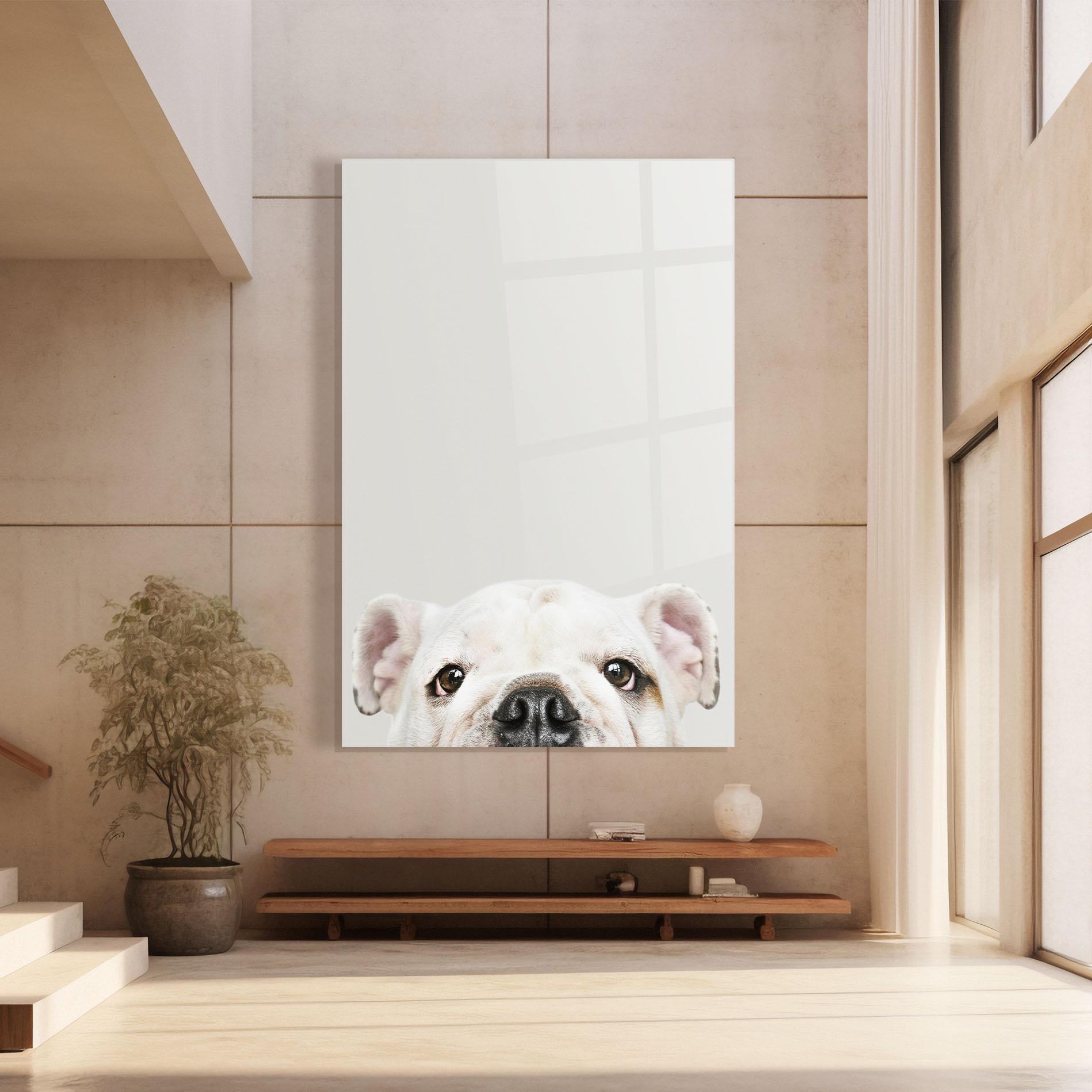 Tablou Sticla Bulldog Eyes mockup 8