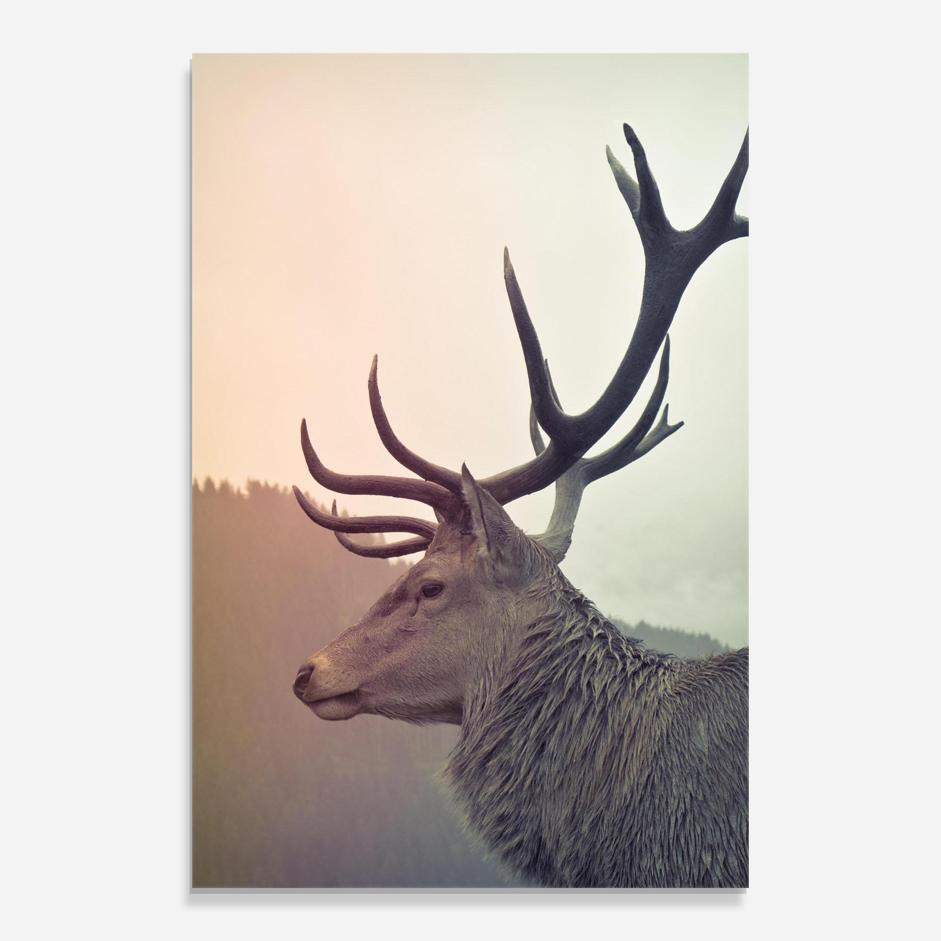 Tablou Sticla King Of The Forest mockup 0