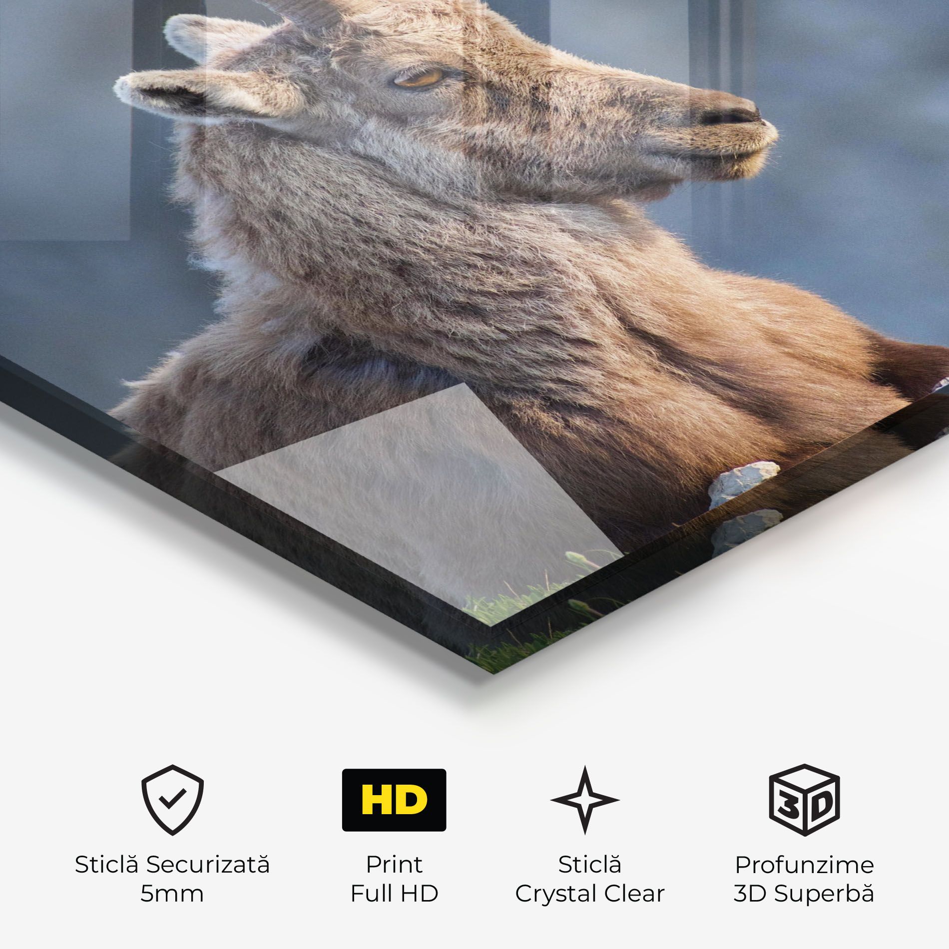 Mountain Goat mockup 3