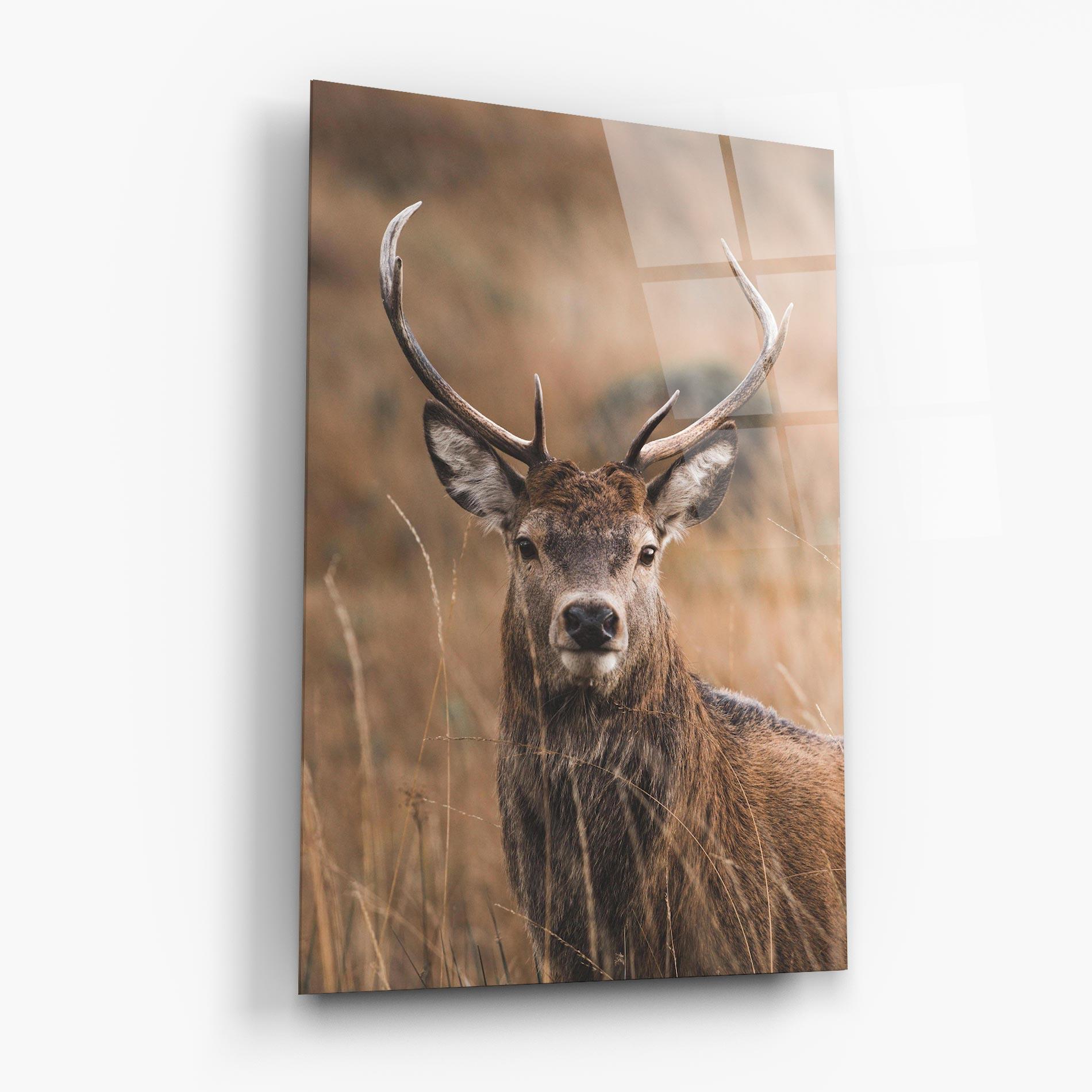 Tablou Sticla Majestic Deer mockup 6