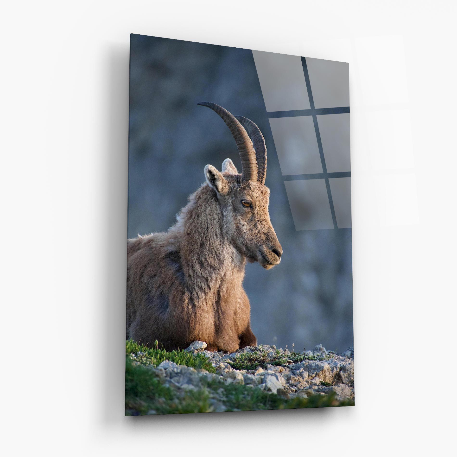 Mountain Goat mockup 6