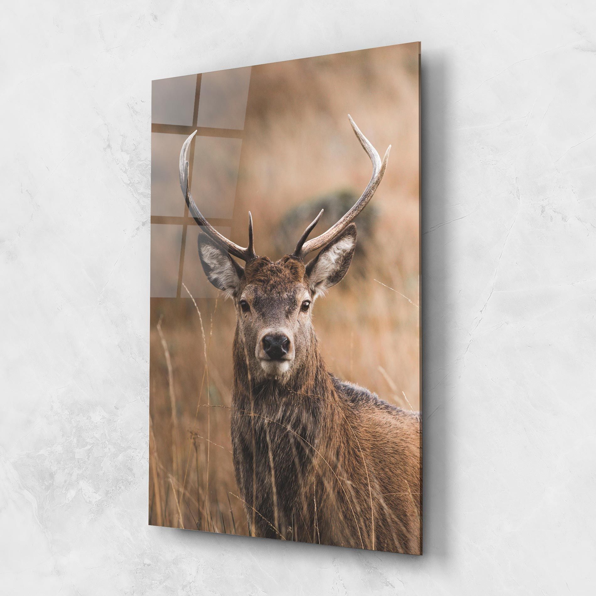 Majestic Deer mockup 1