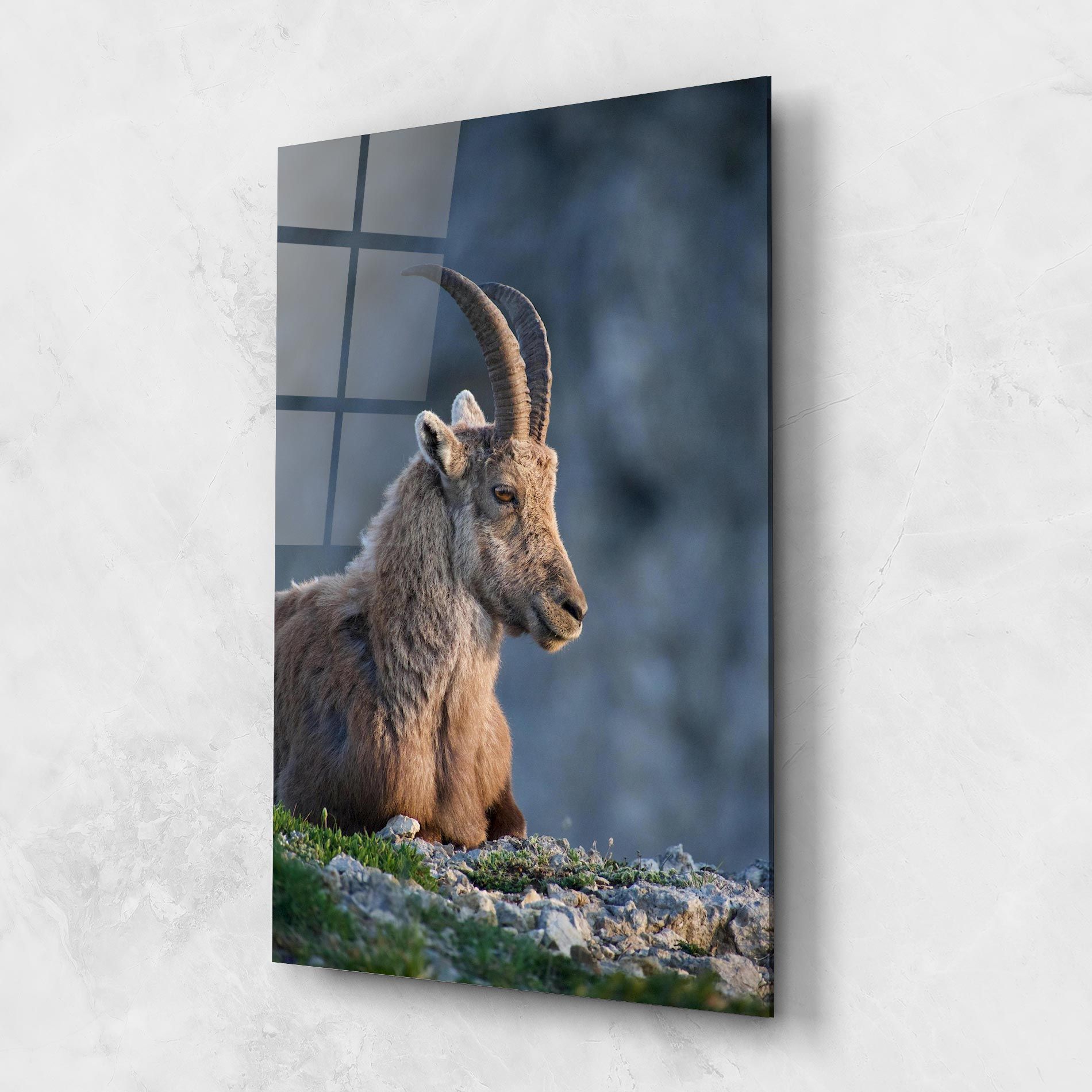 Mountain Goat mockup 1