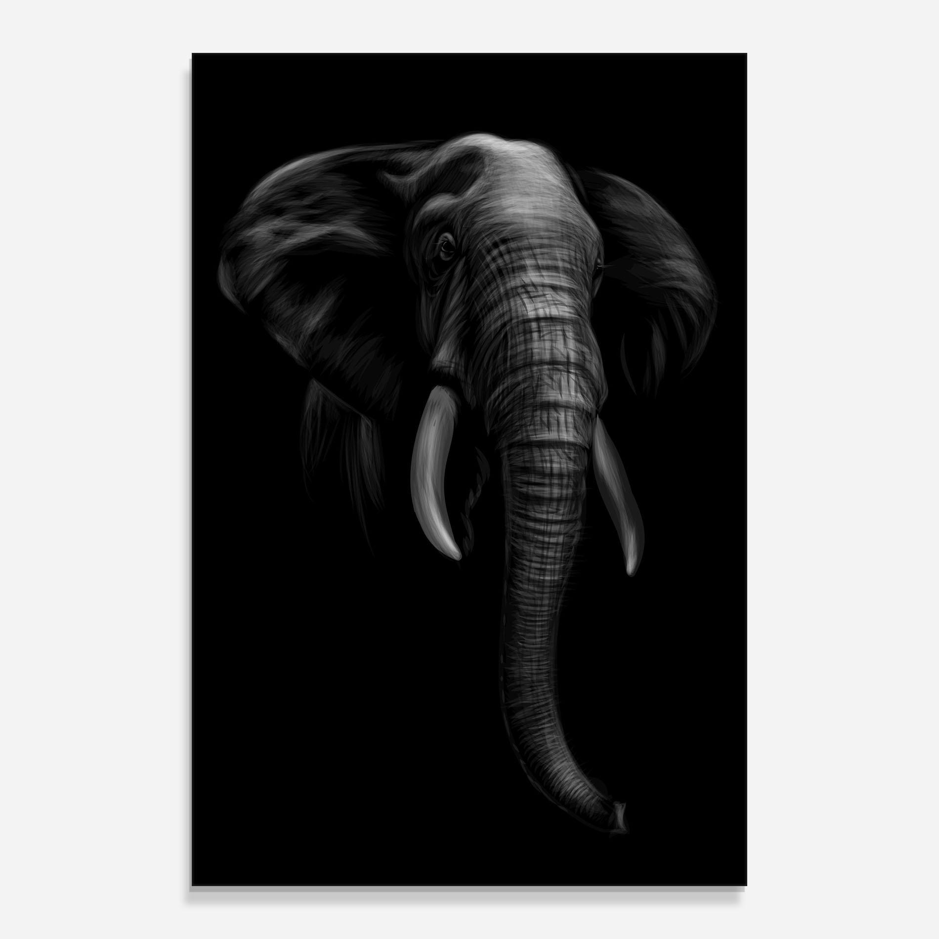 Tablou Sticla Elephant Head mockup 0