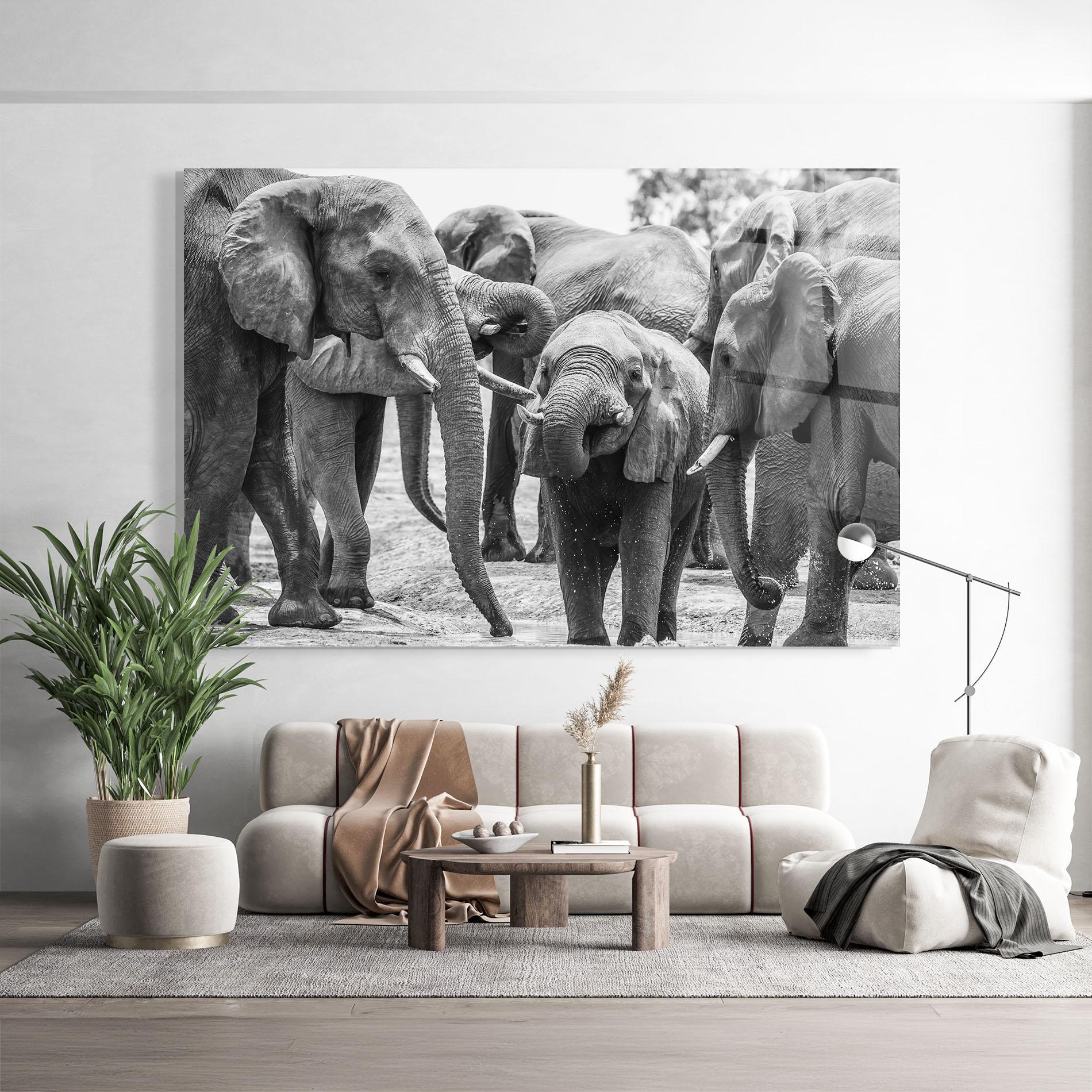Tablou Sticla Elephant Playing mockup 9