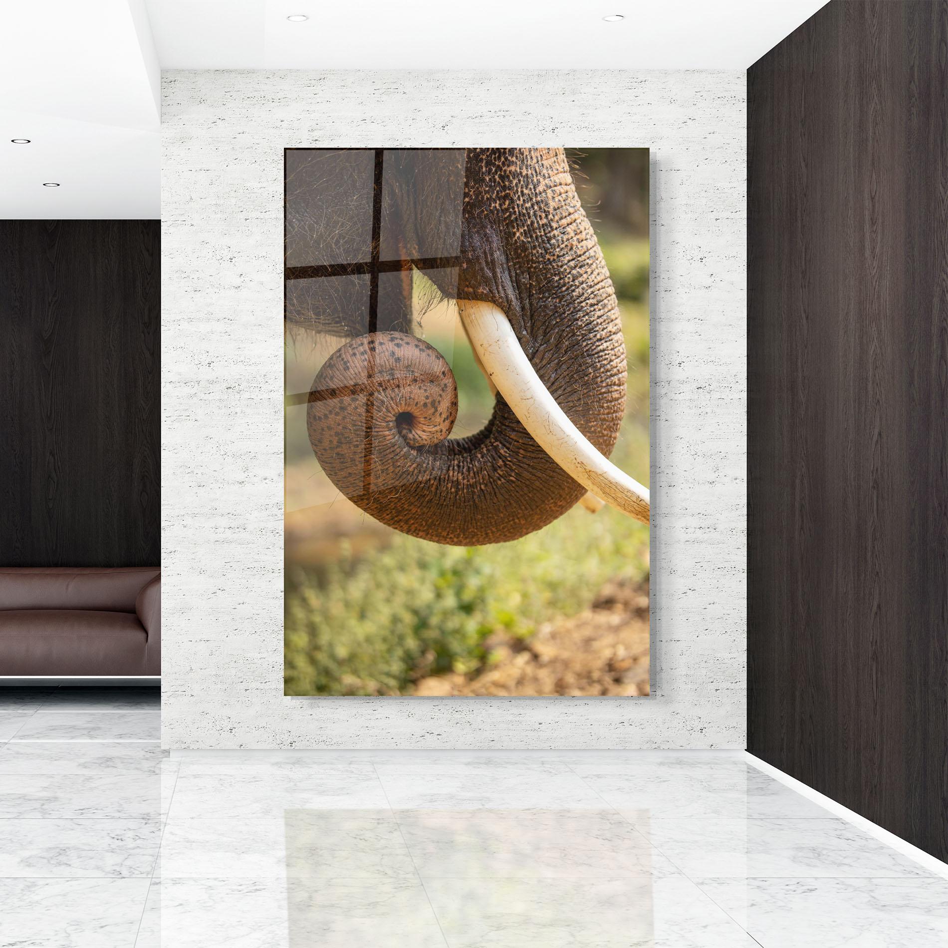 Tablou Sticla Elephant Mouth Close Up mockup 9