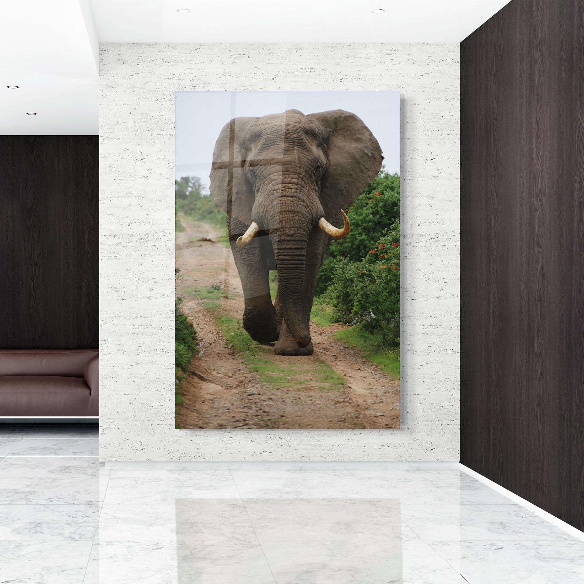 Tablou Sticla Elephant Safari mockup 9