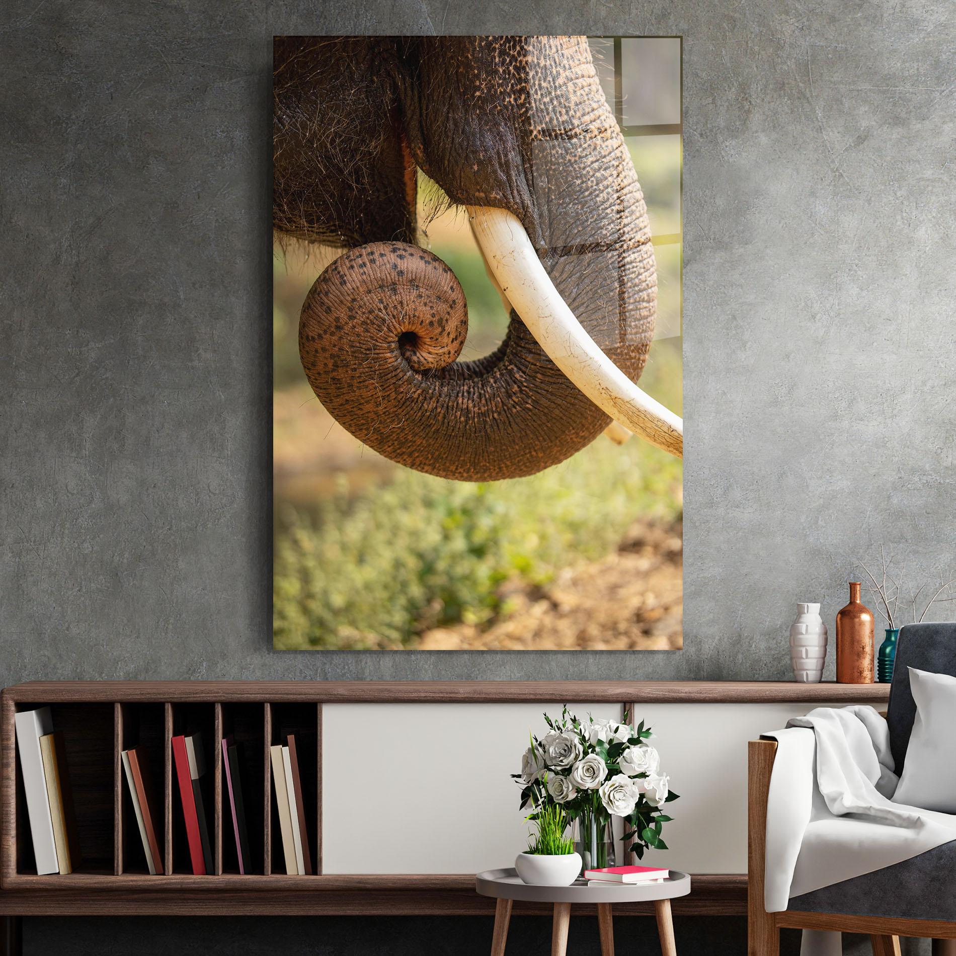 Tablou Sticla Elephant Mouth Close Up mockup 2