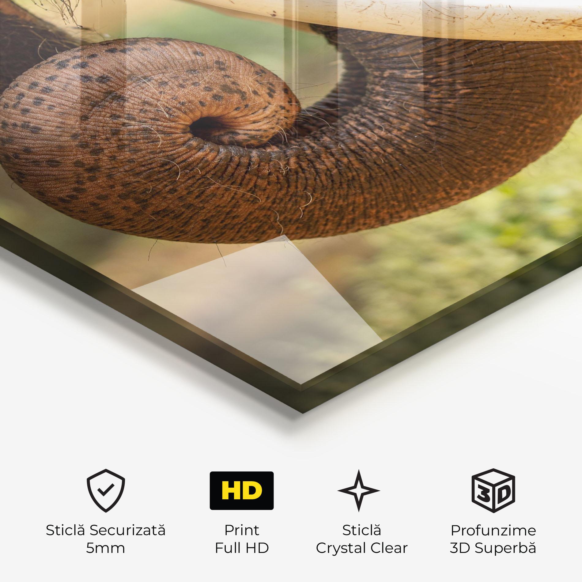 Tablou Sticla Elephant Mouth Close Up mockup 3