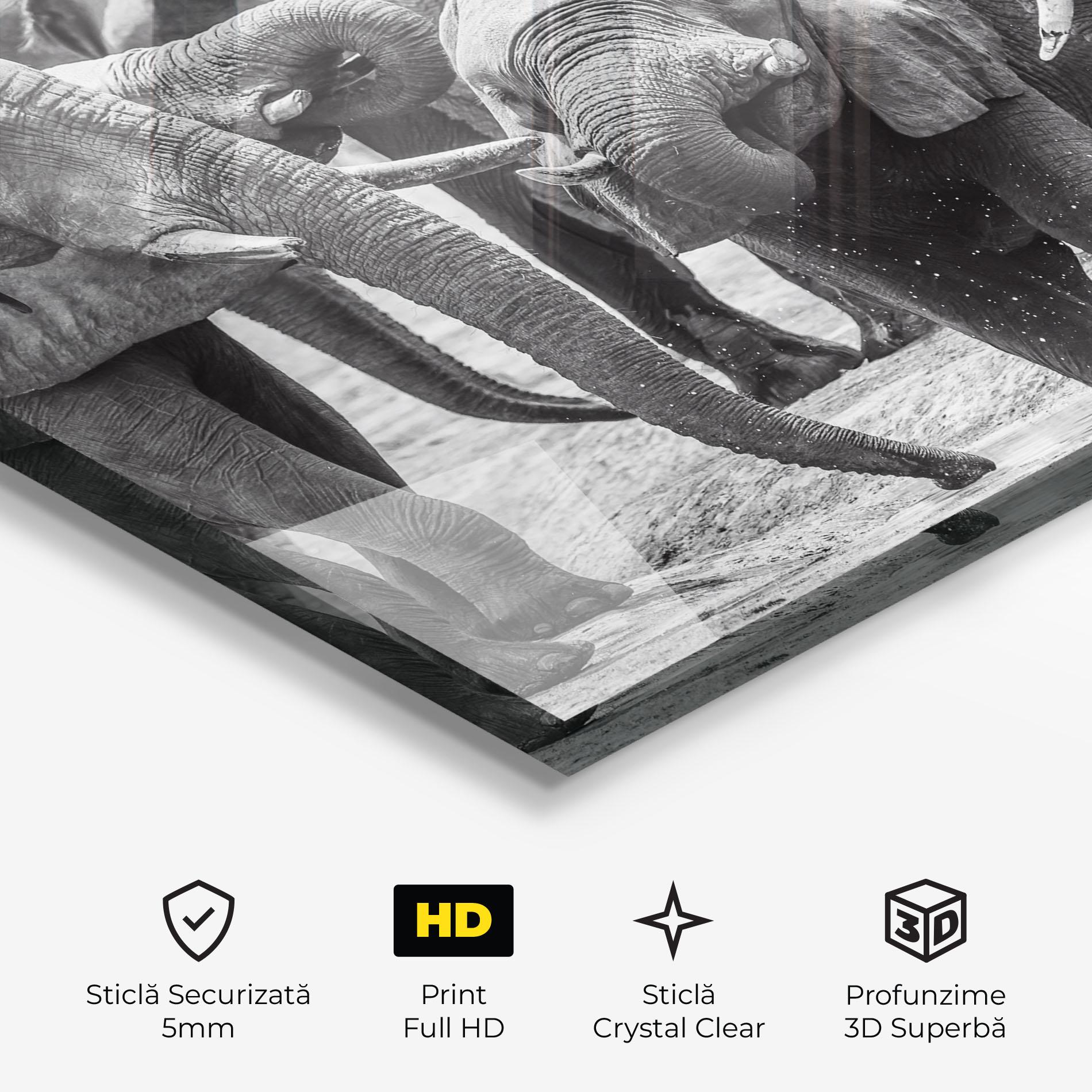 Tablou Sticla Elephant Playing mockup 3