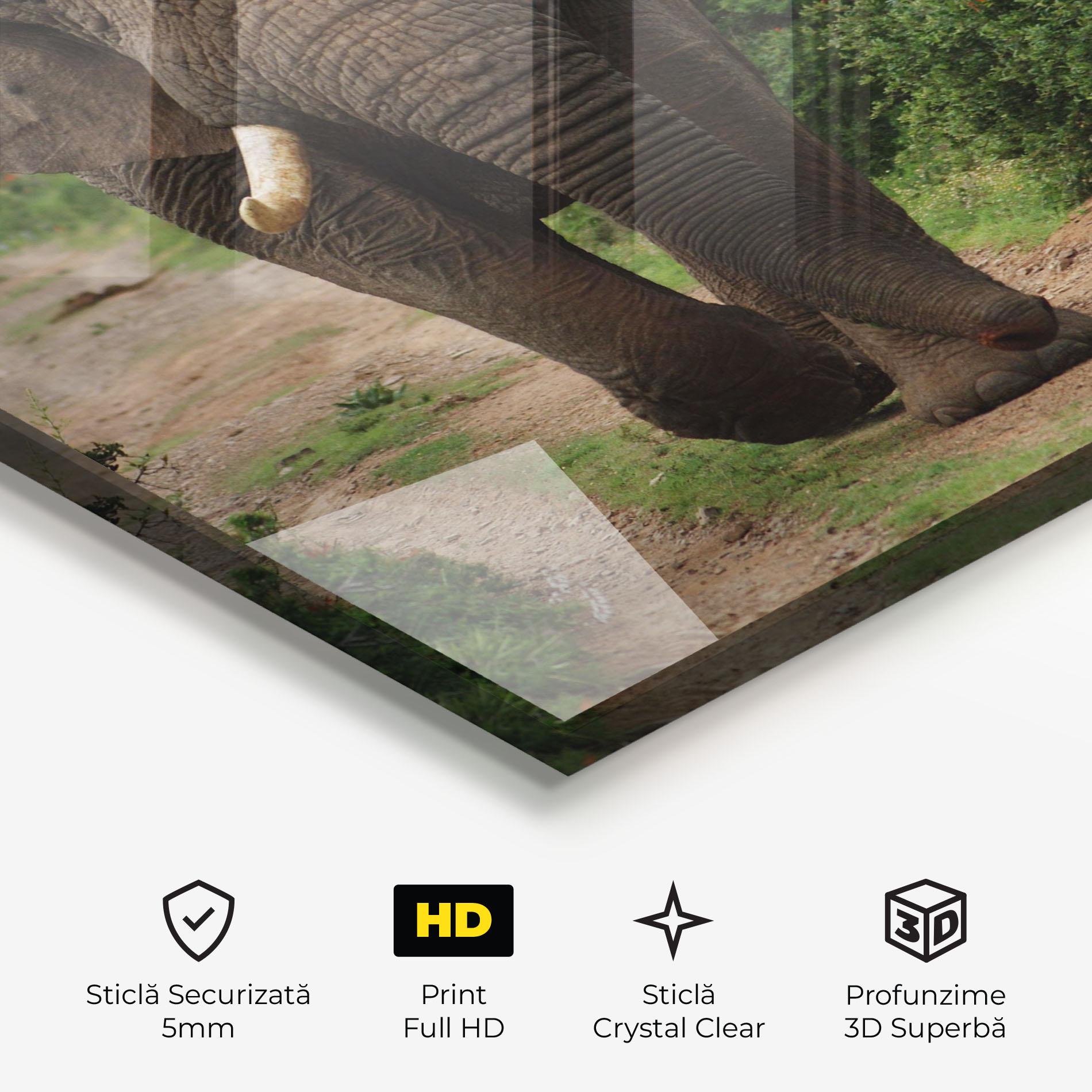 Tablou Sticla Elephant Safari mockup 3