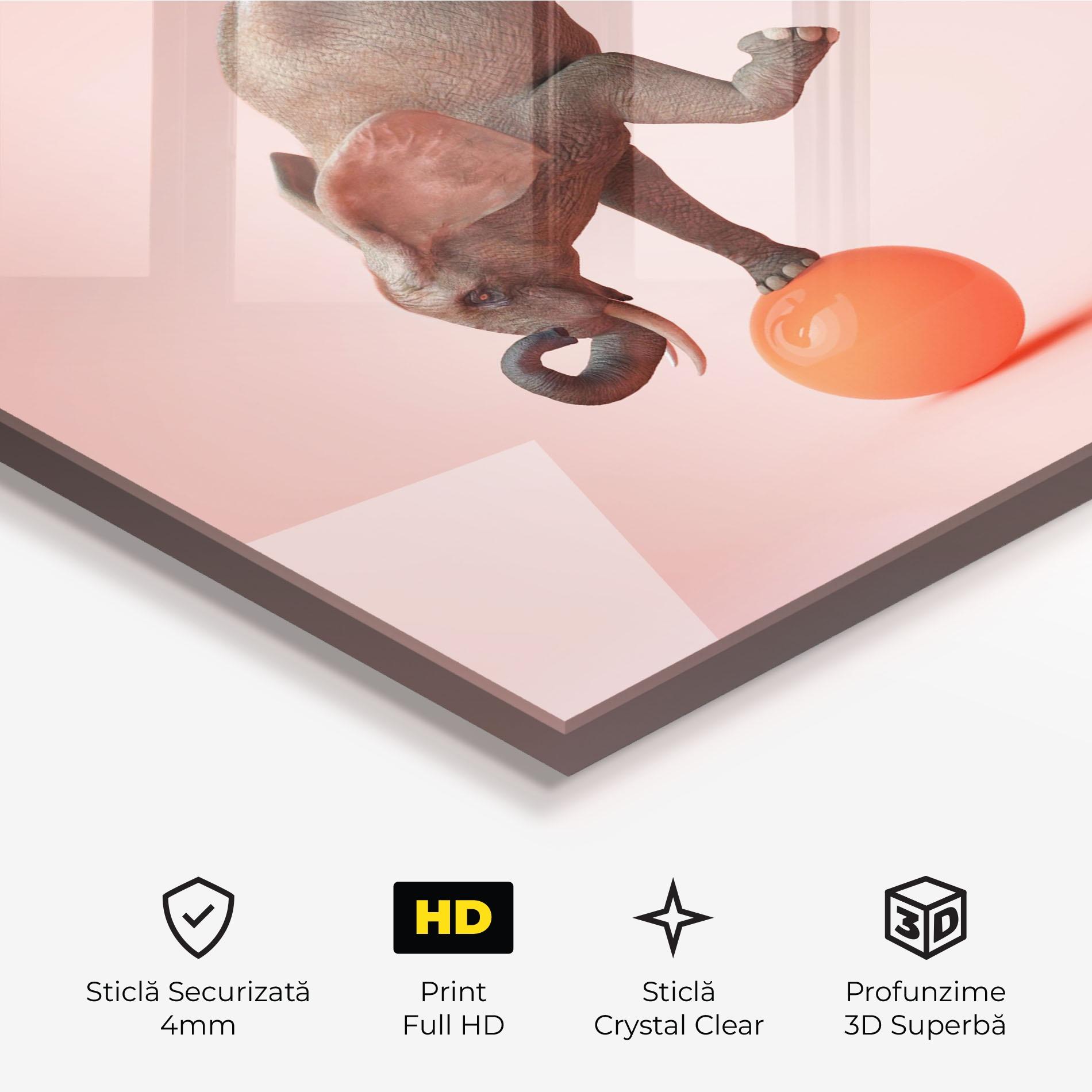Tablou Sticla Ball Elephant mockup 3