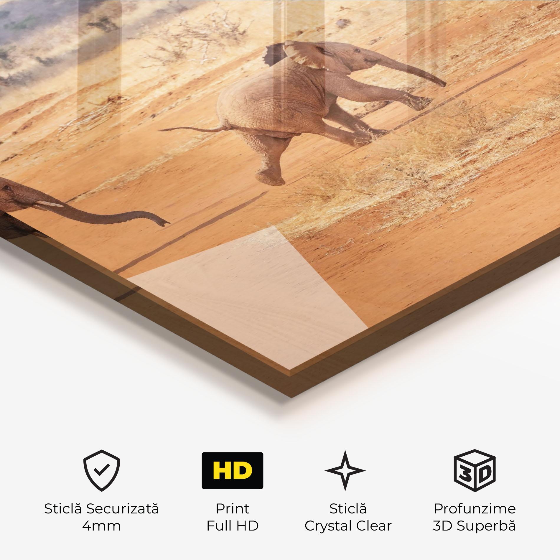 Tablou Sticla Desert Safari mockup 3