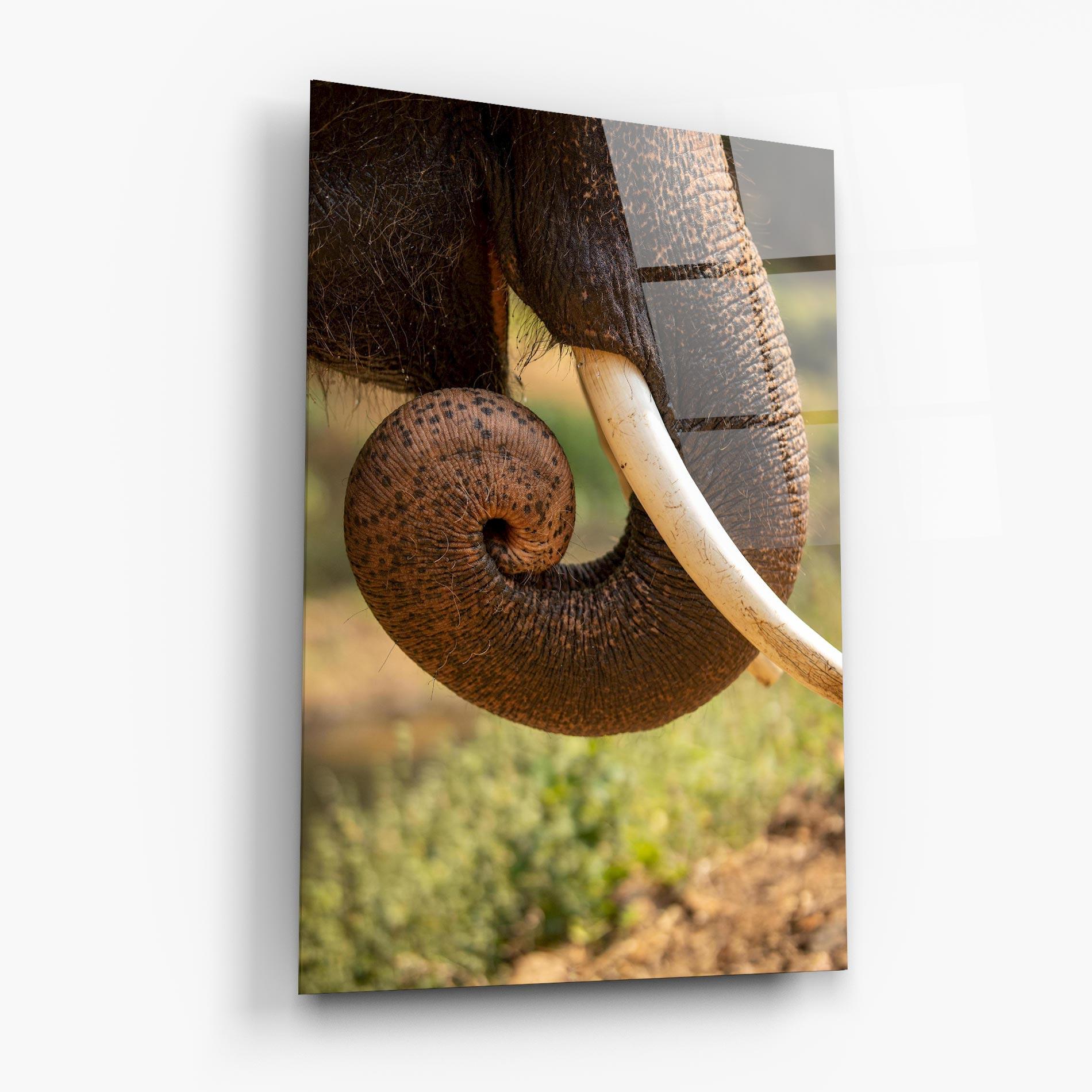 Tablou Sticla Elephant Mouth Close Up mockup 6