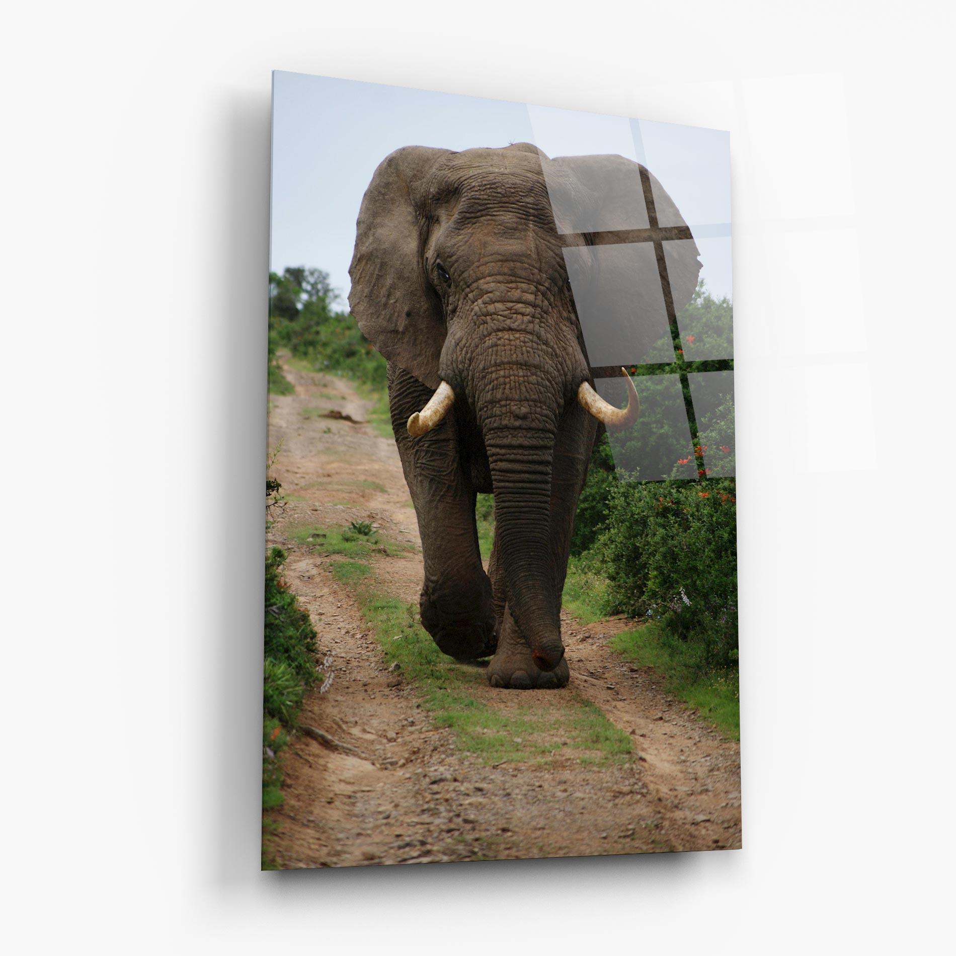 Tablou Sticla Elephant Safari mockup 6