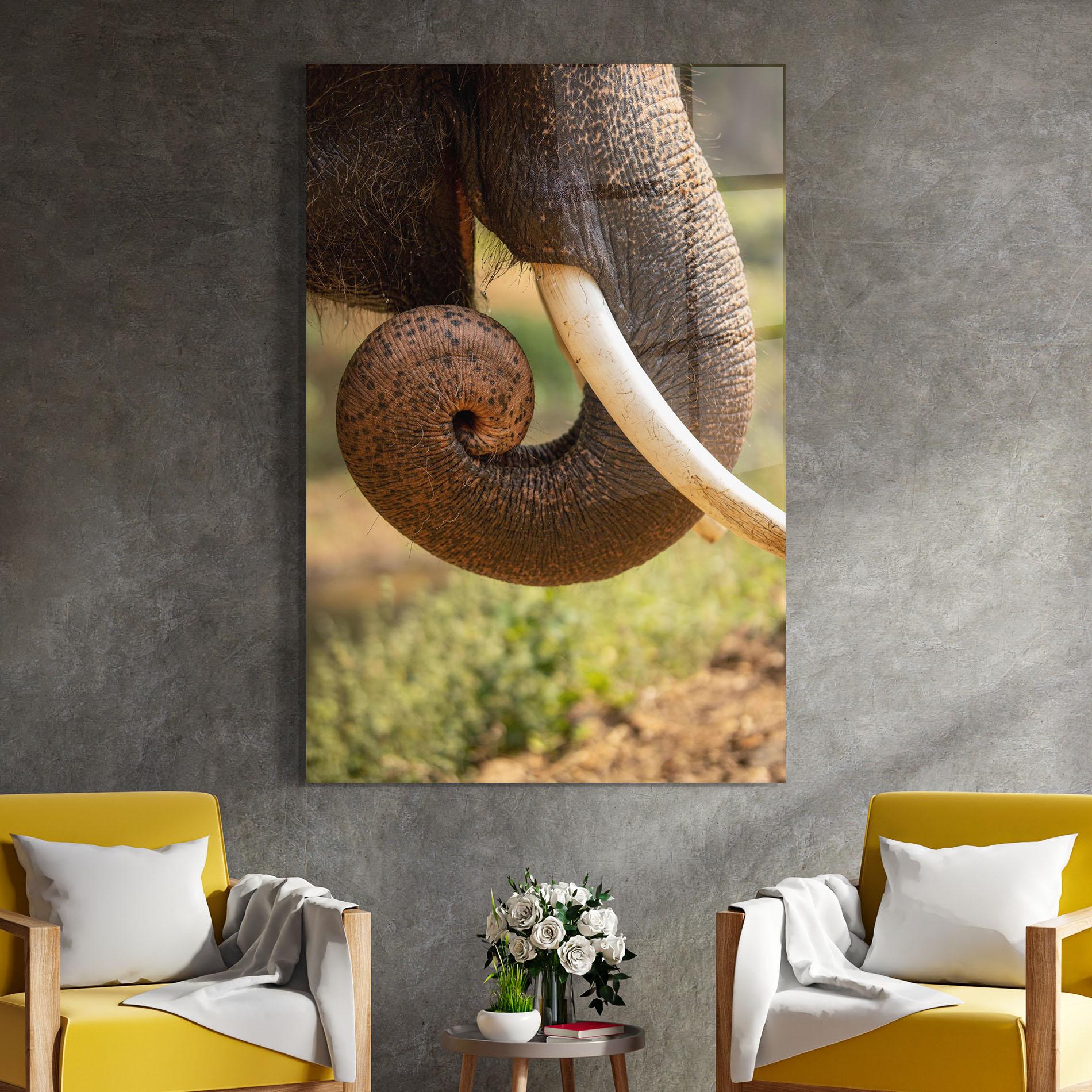 Tablou Sticla Elephant Mouth Close Up mockup 4