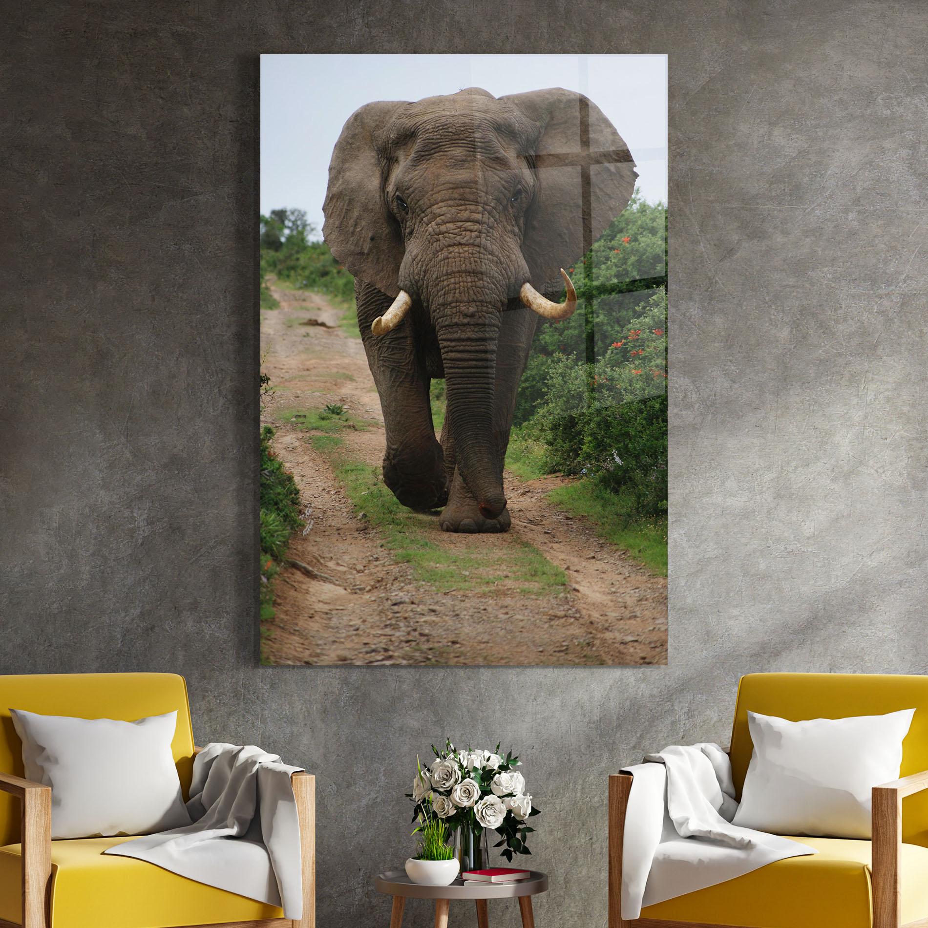 Tablou Sticla Elephant Safari mockup 4