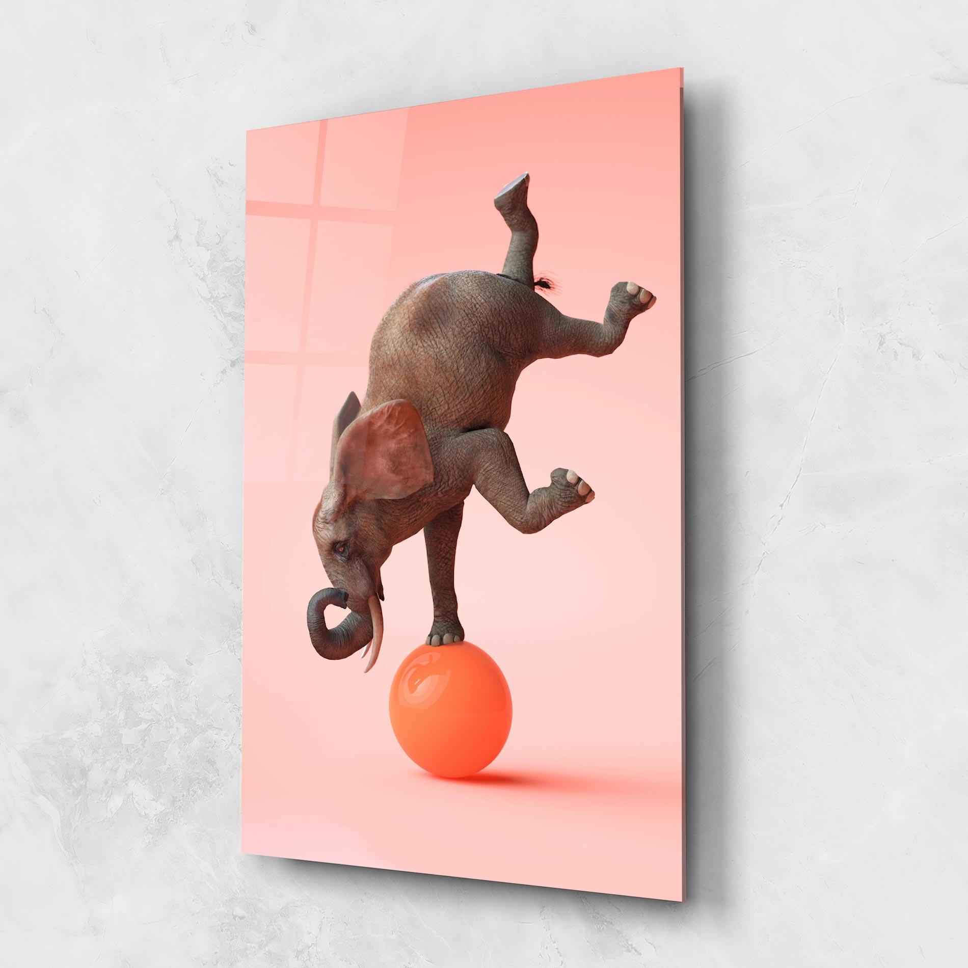 Tablou Sticla Ball Elephant mockup 1