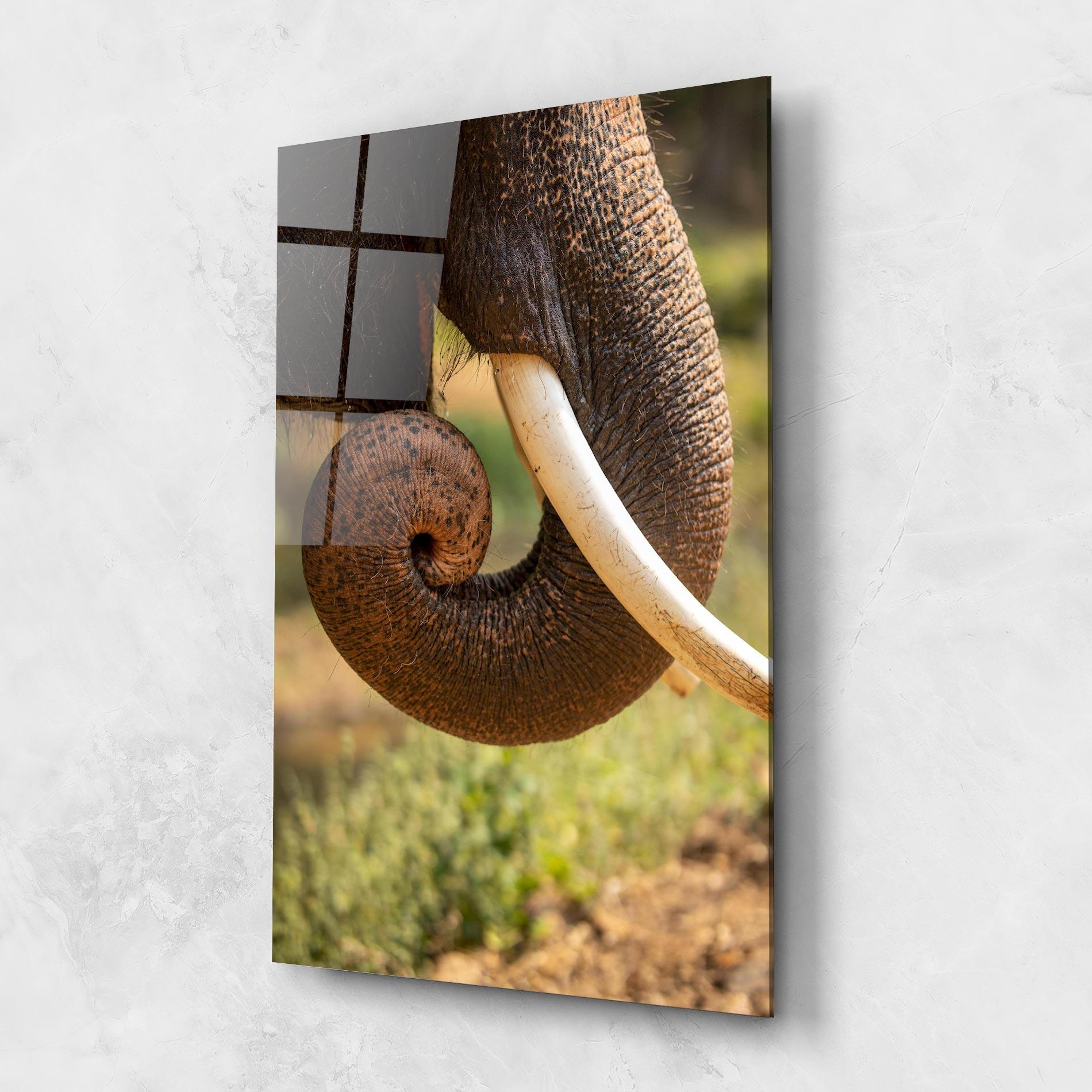 Tablou Sticla Elephant Mouth Close Up mockup 1